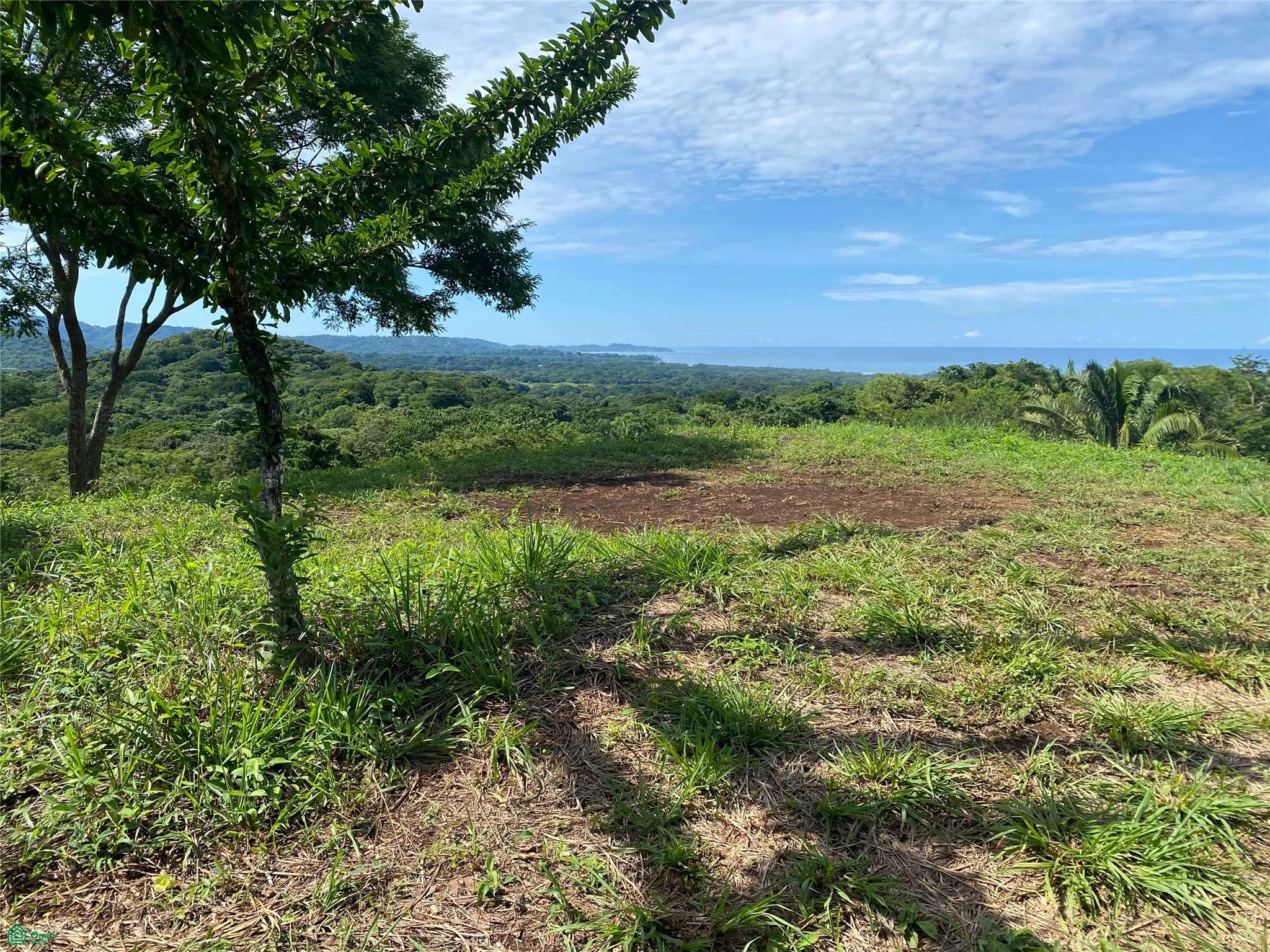 Playa Ostional Development 20-Lots on 8 ha