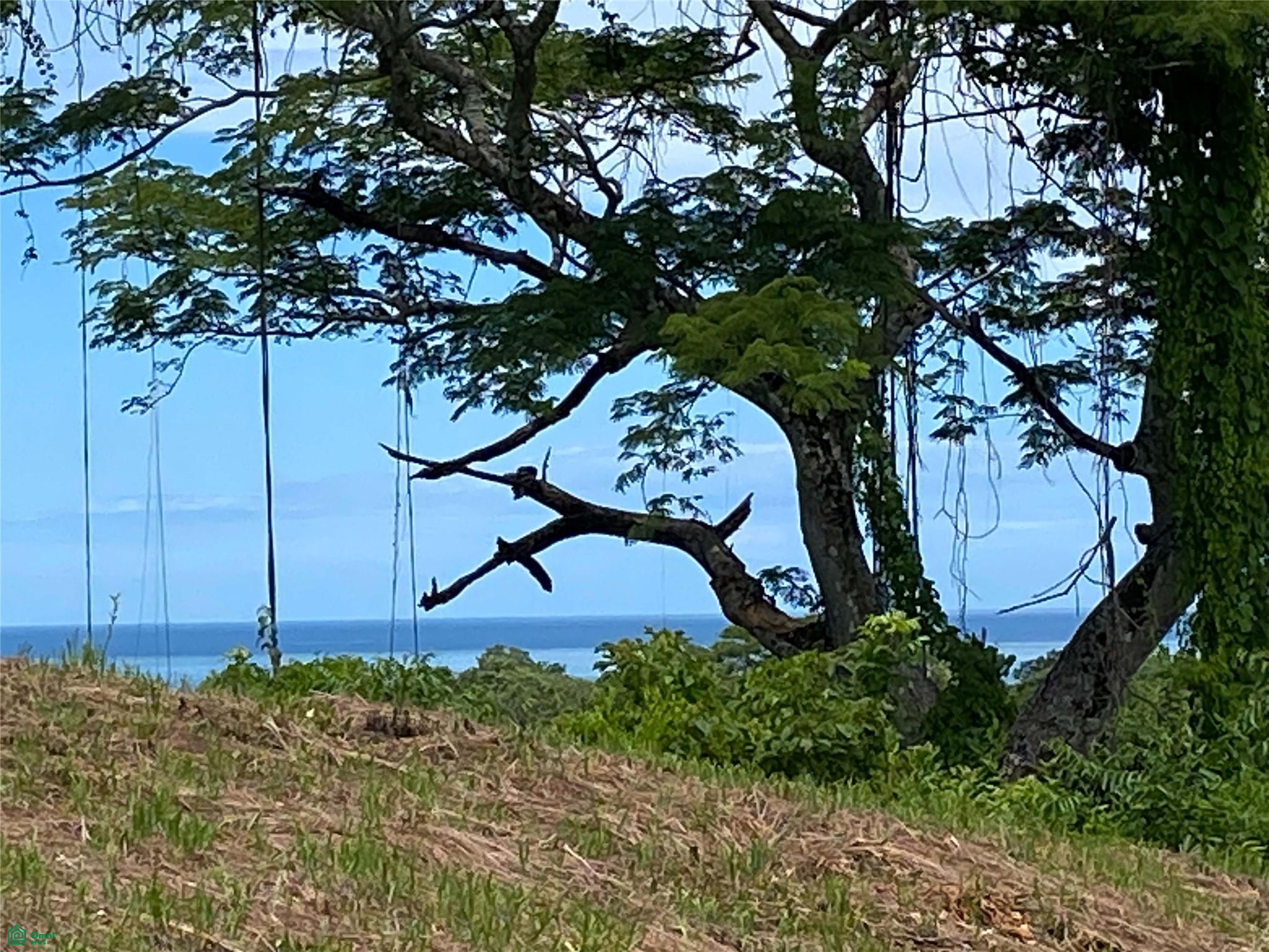 Playa Ostional Development 20-Lots on 8 ha