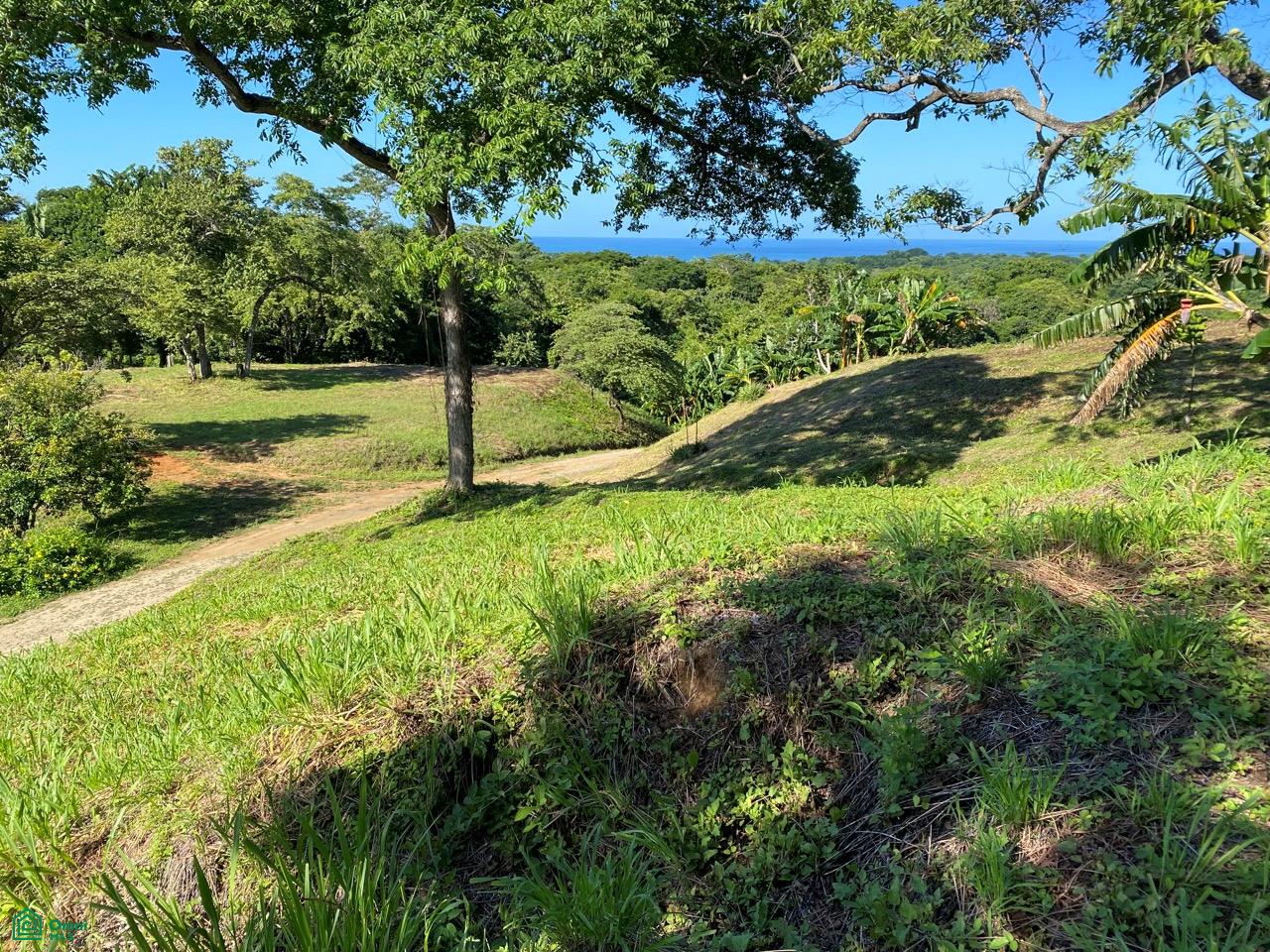 Playa Ostional Development 20-Lots on 8 ha