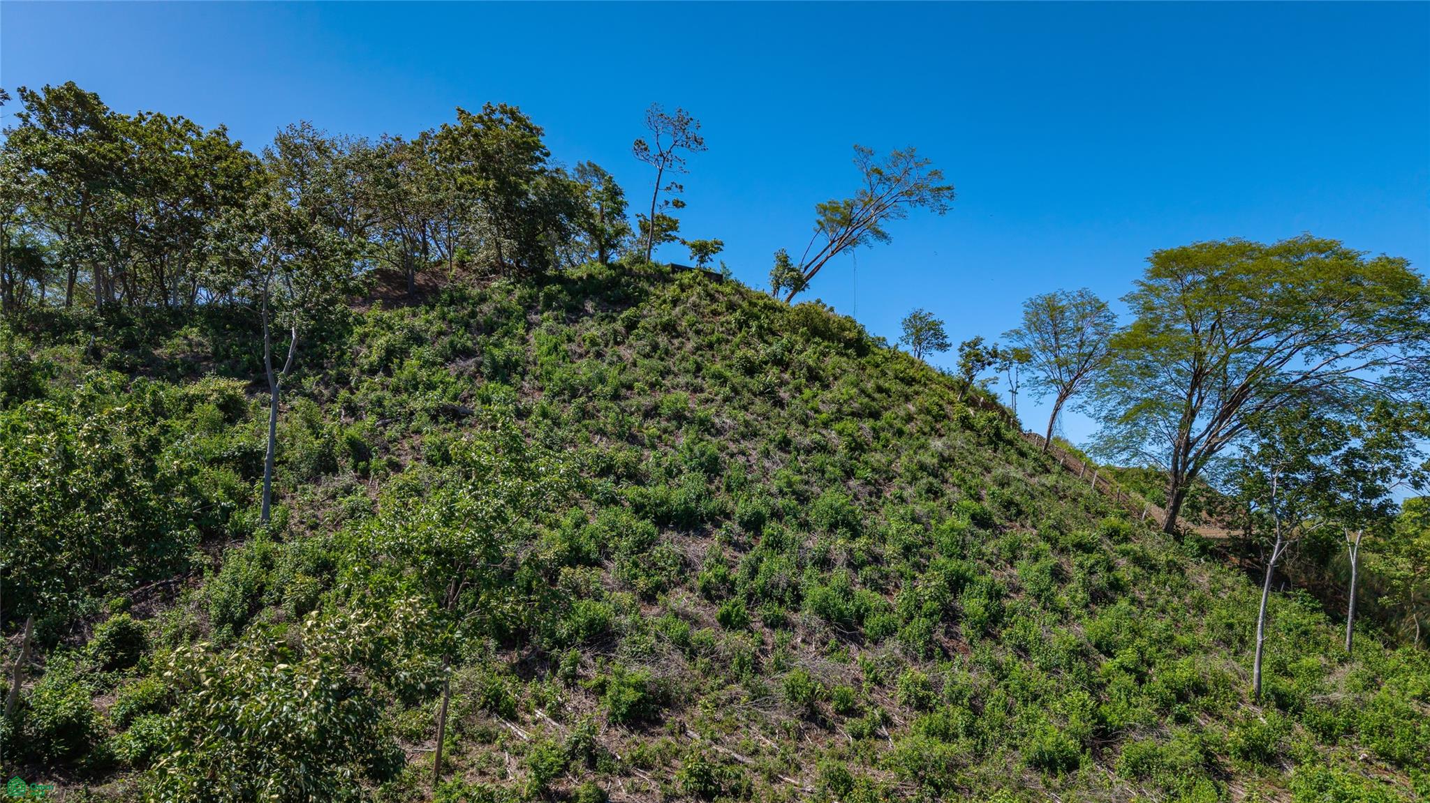 Avellanas Ridge | Oceanview Development Land