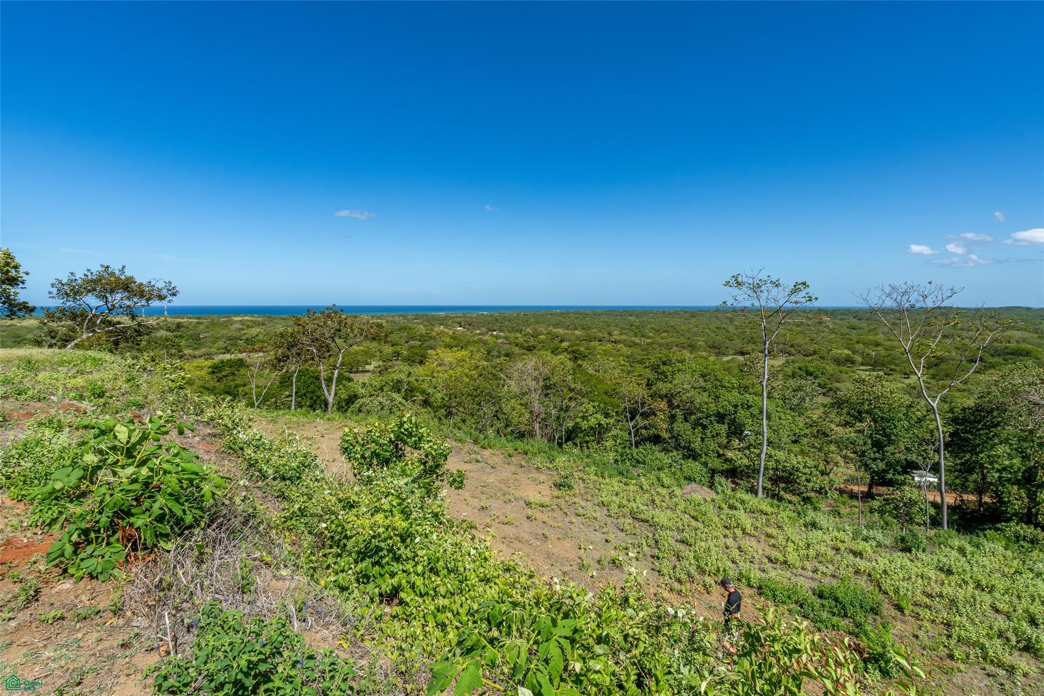 Avellanas Ridge | Oceanview Development Land