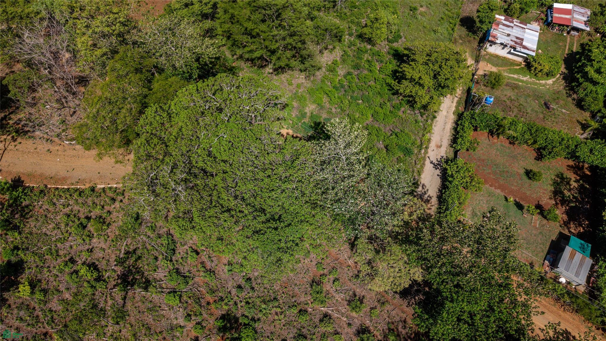 Avellanas Ridge | Oceanview Development Land