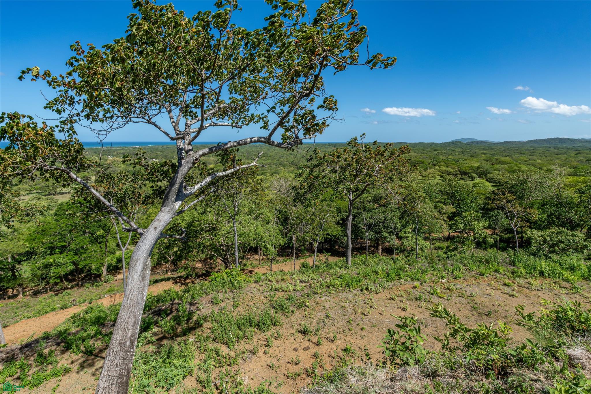 Avellanas Ridge | Oceanview Development Land