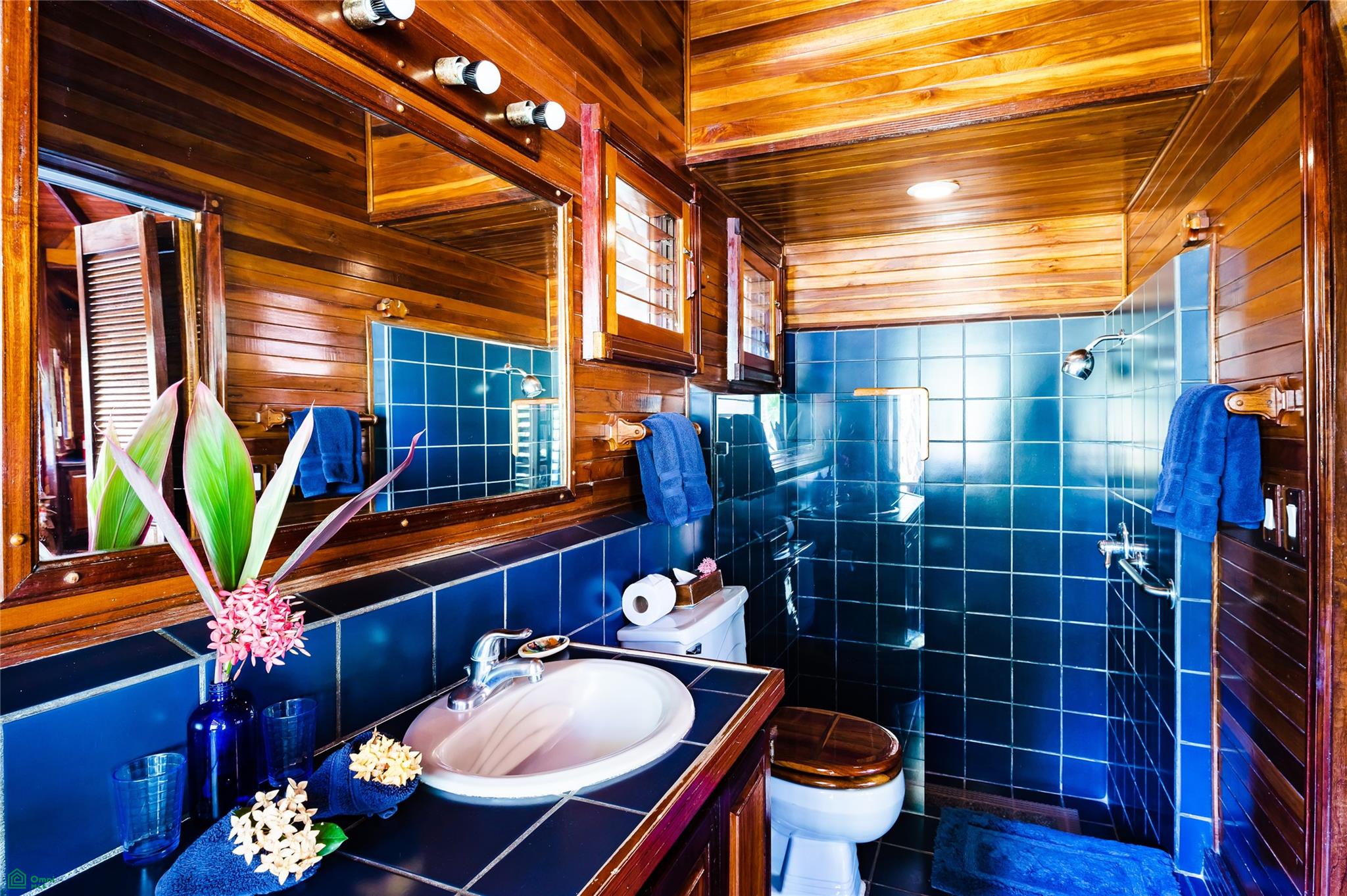 Tambor Tropical Beach Hotel