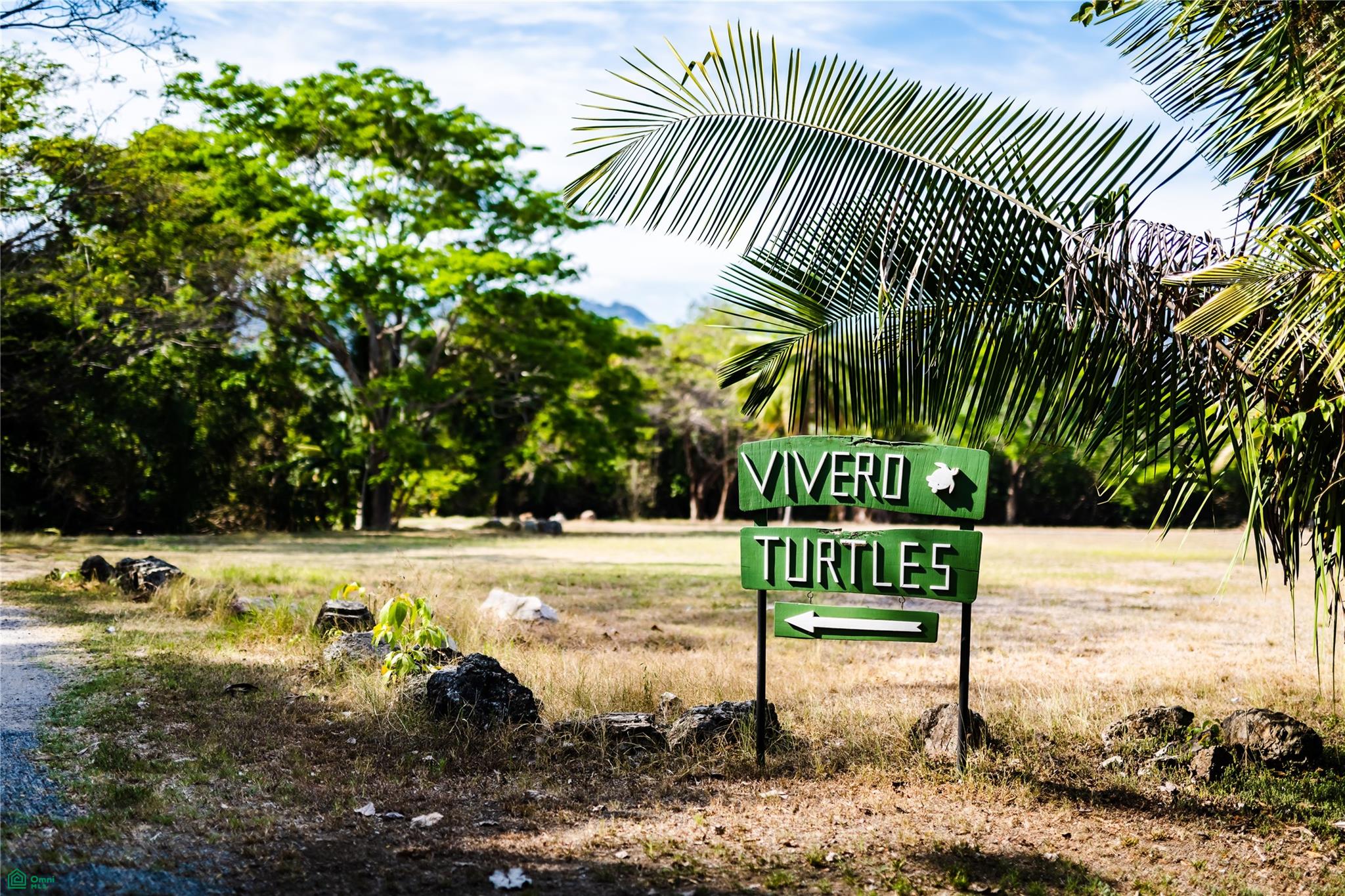 Tambor Tropical Beach Hotel