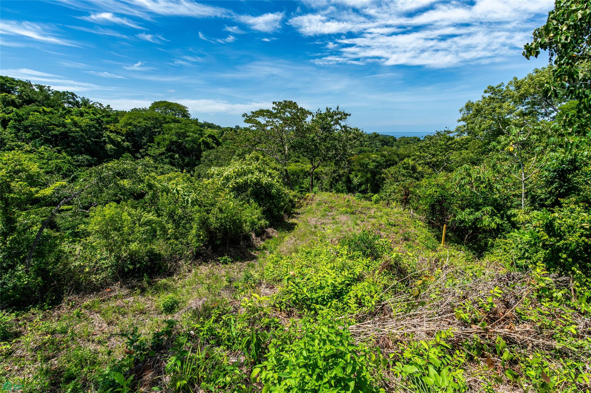Vista Verde