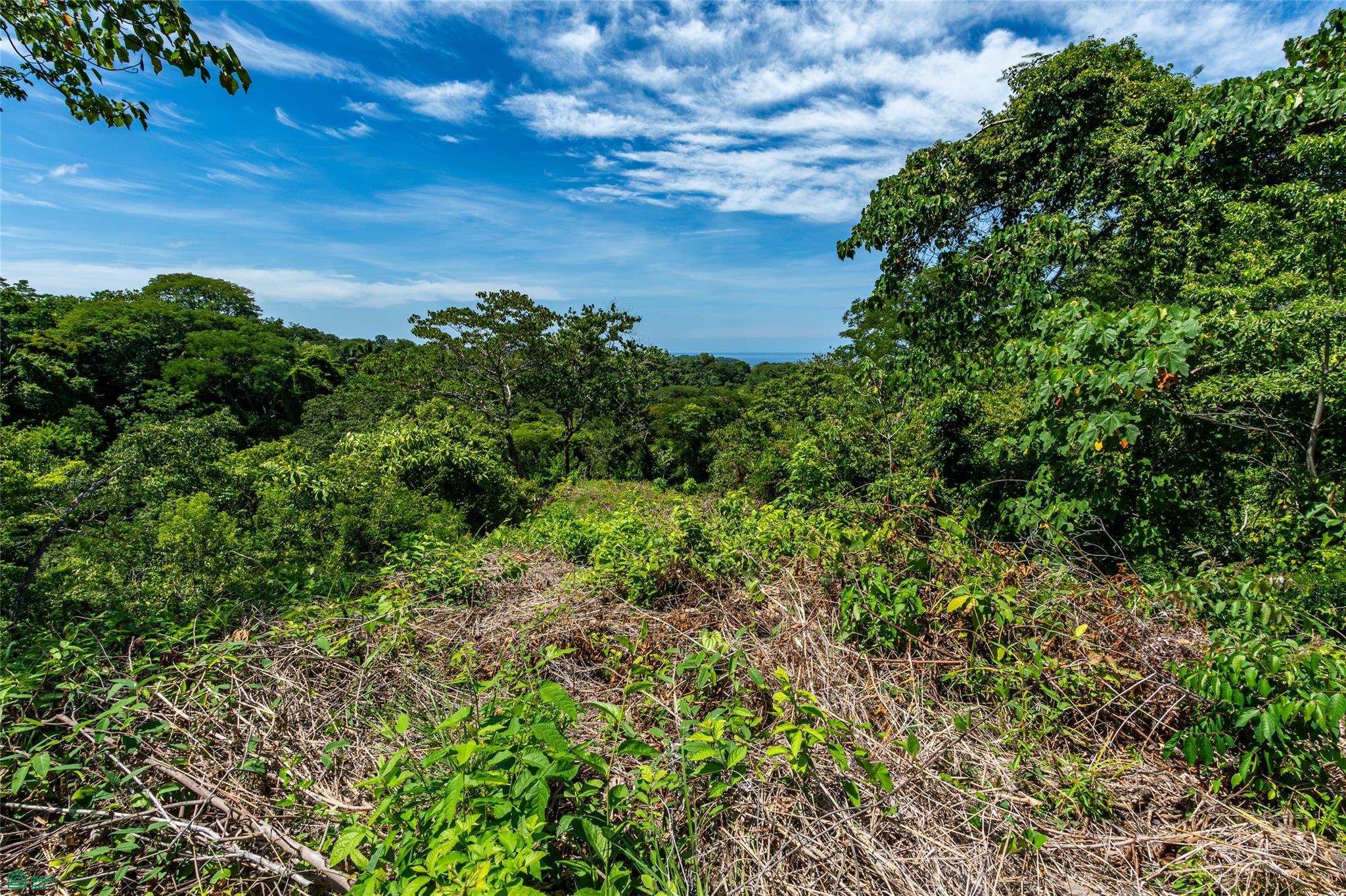 Vista Verde
