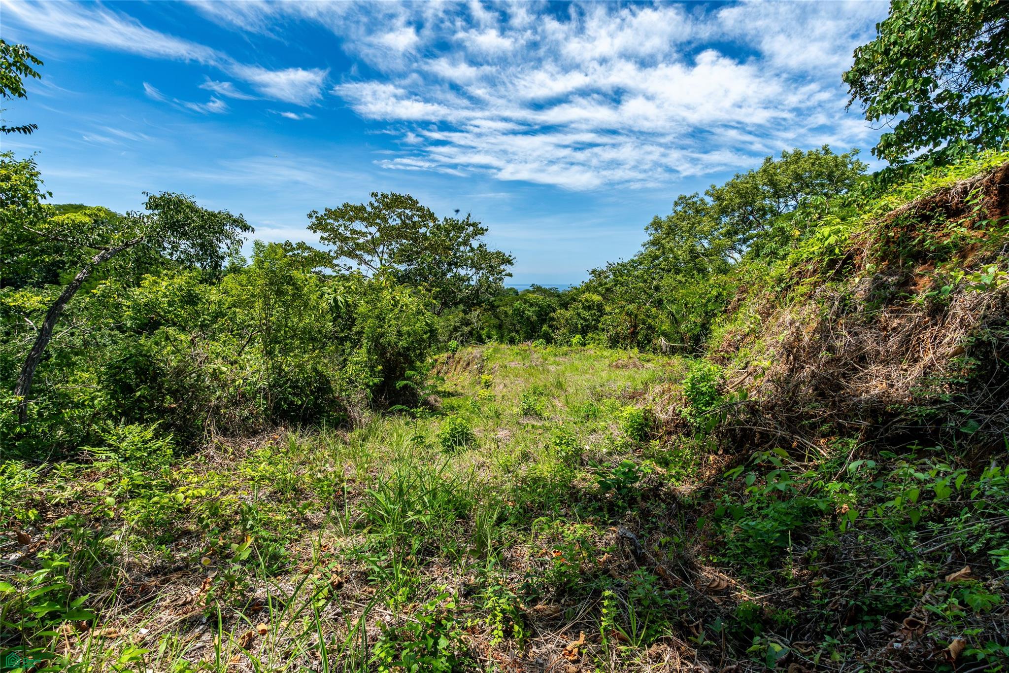 Vista Verde