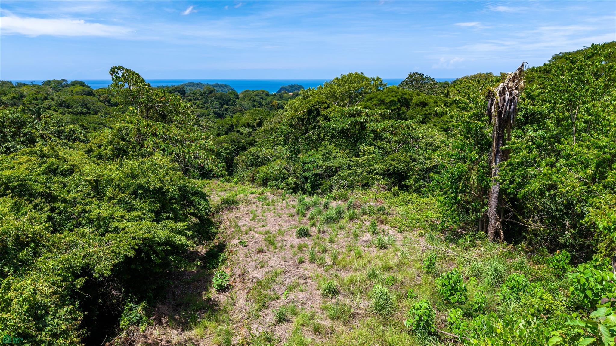 Vista Verde