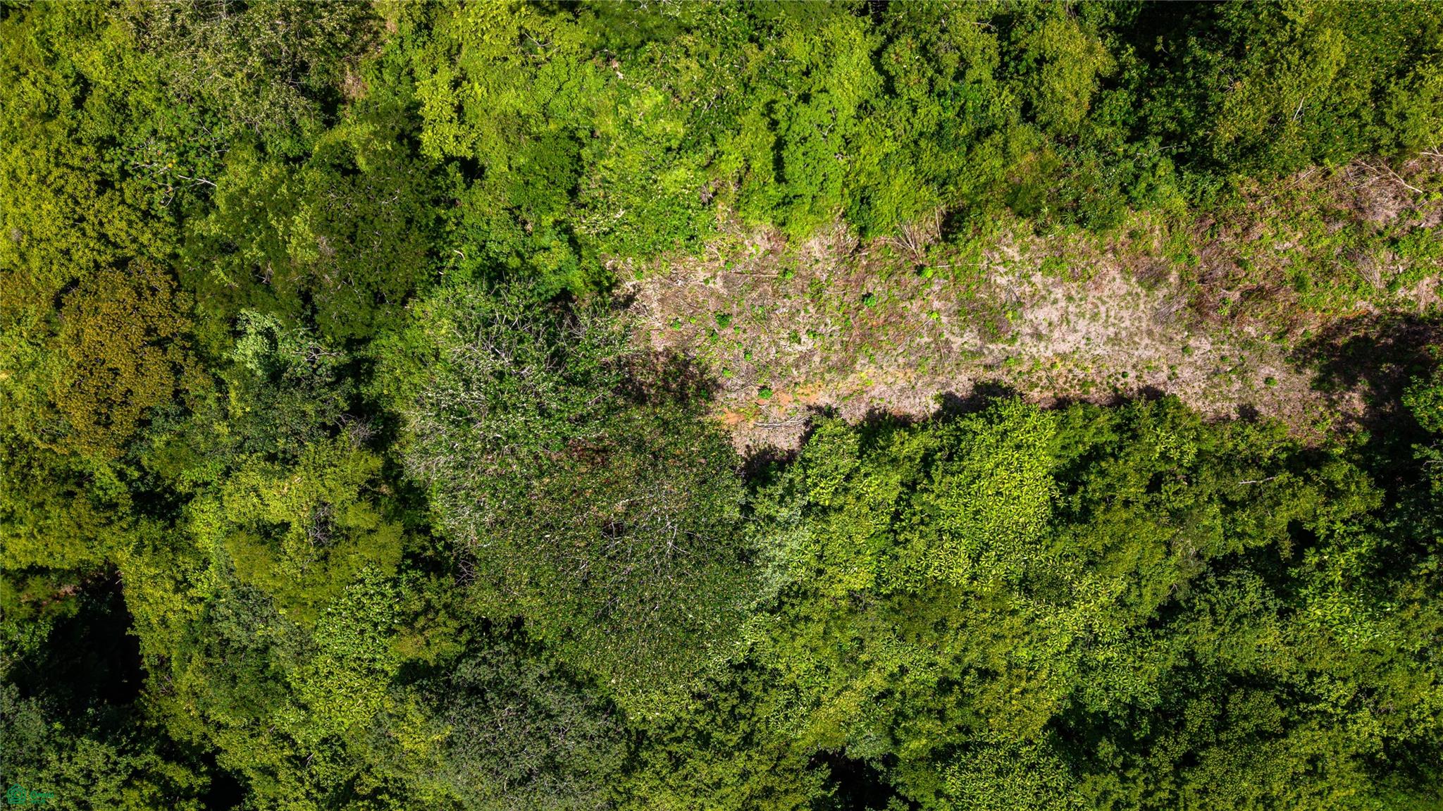 Vista Verde