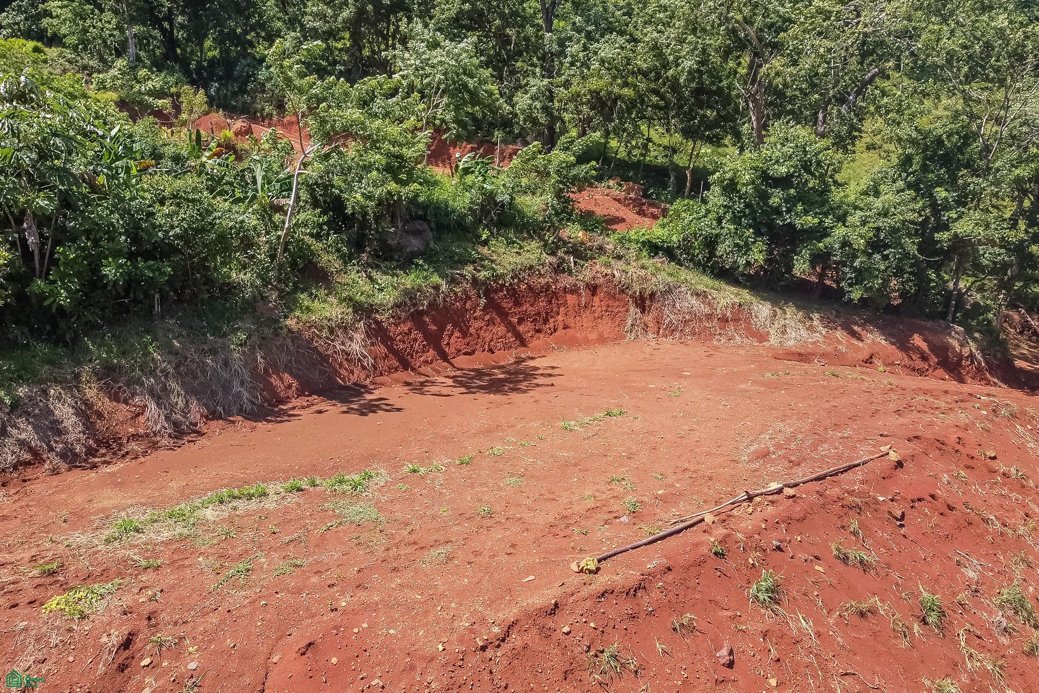 Finca Coco Nico