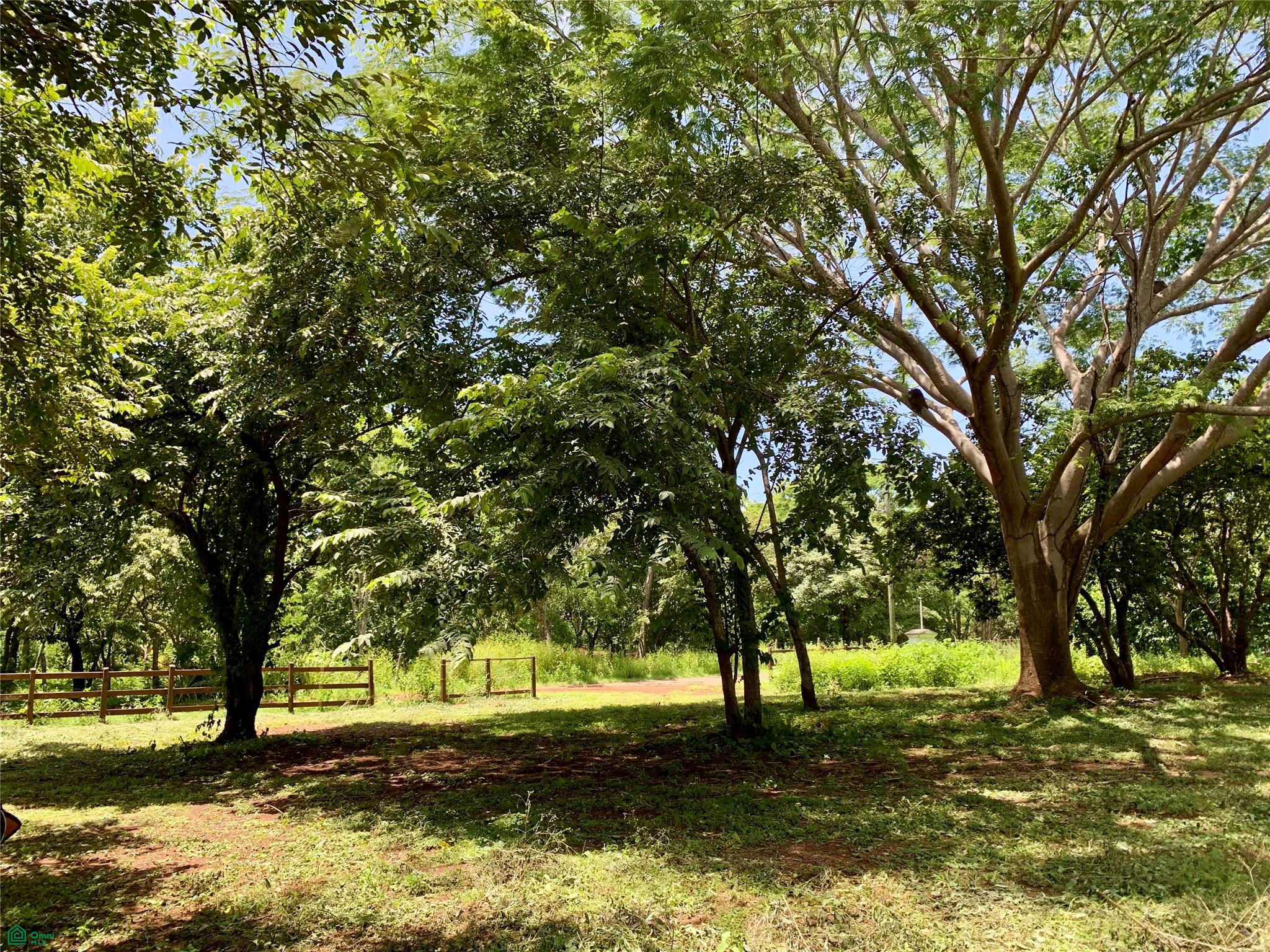 HAMMOCK PLANTACIÓN, Playa Negra