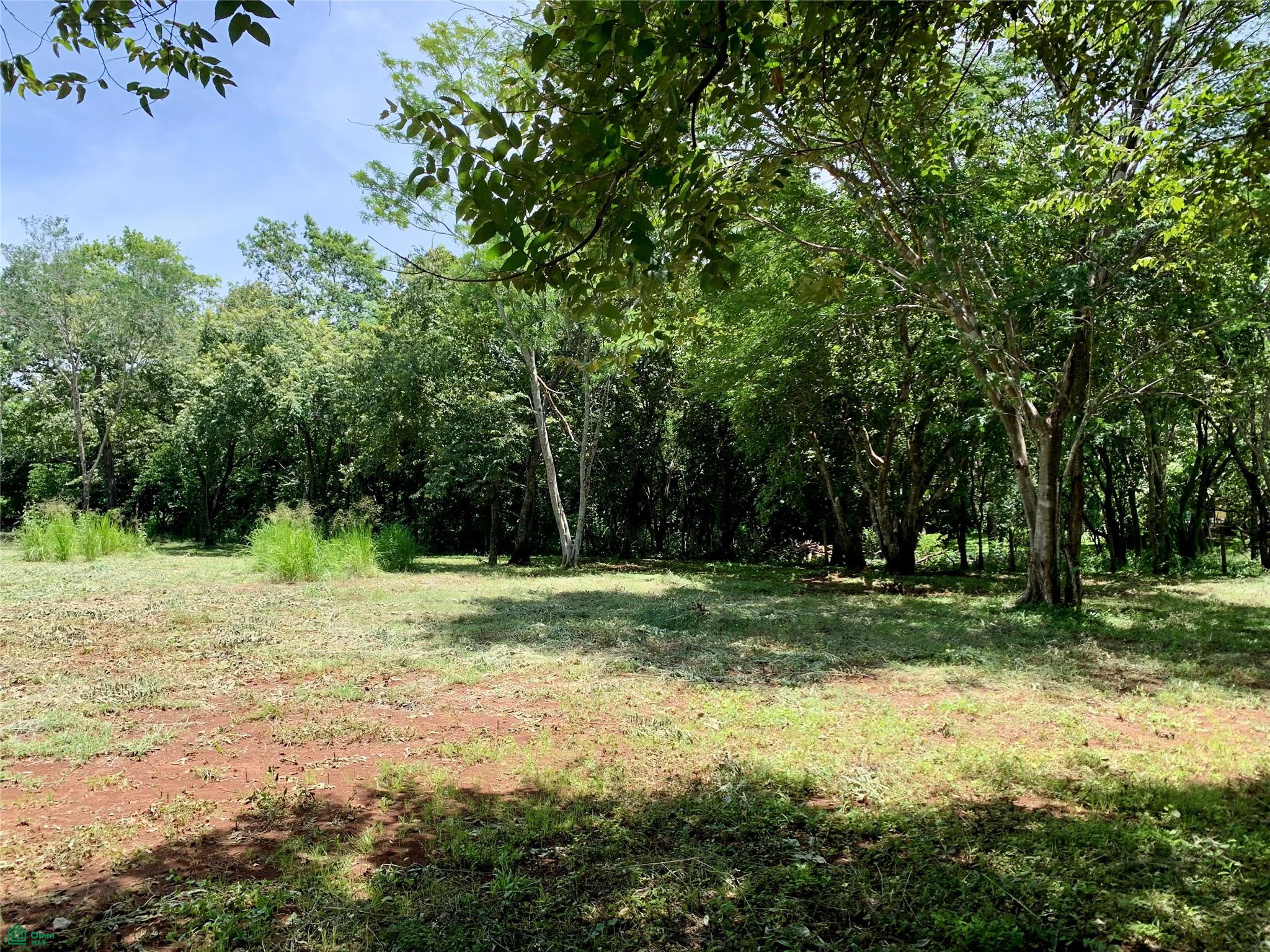 HAMMOCK PLANTACIÓN, Playa Negra