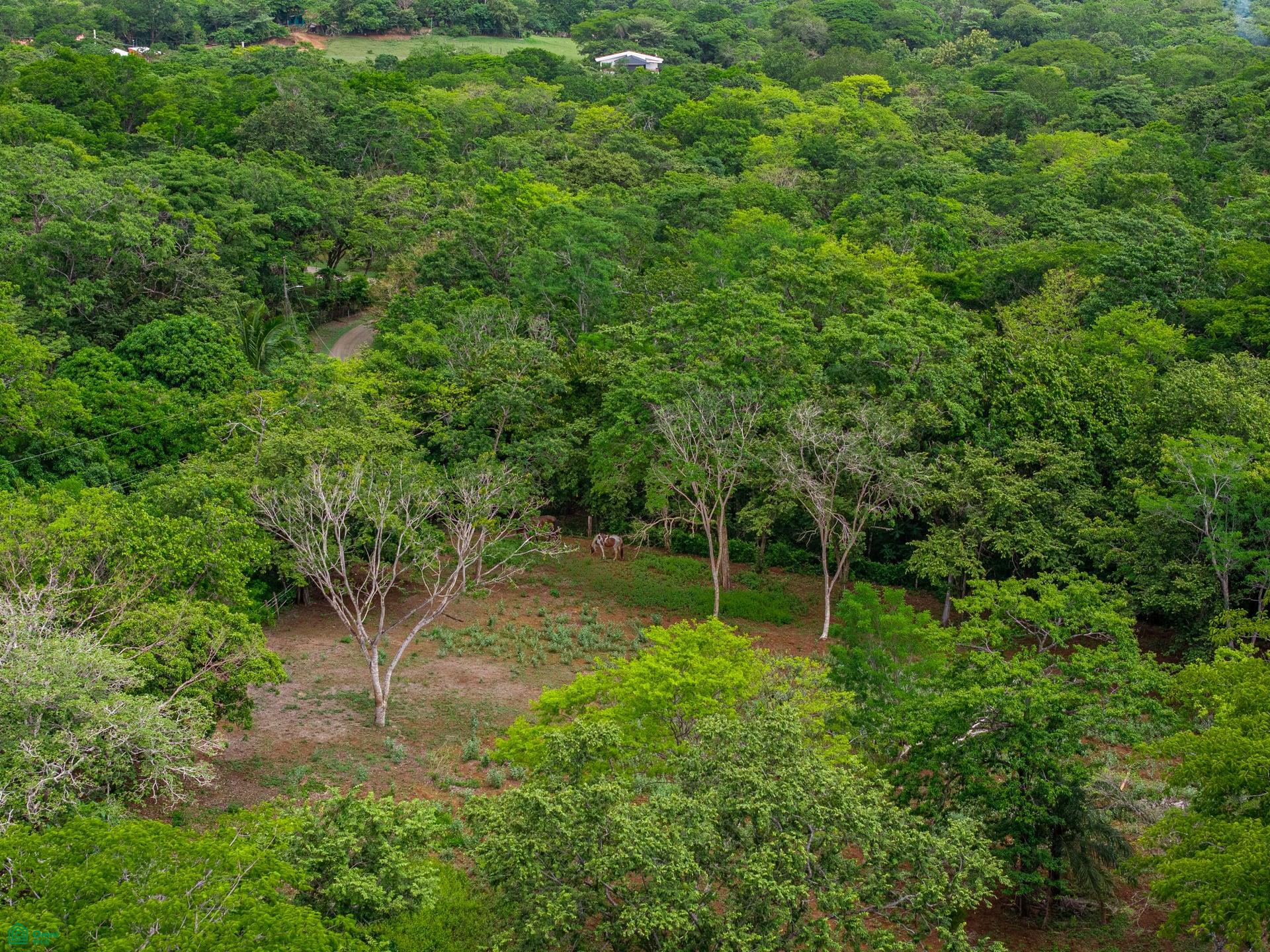 HAMMOCK PLANTACIÓN, Playa Negra