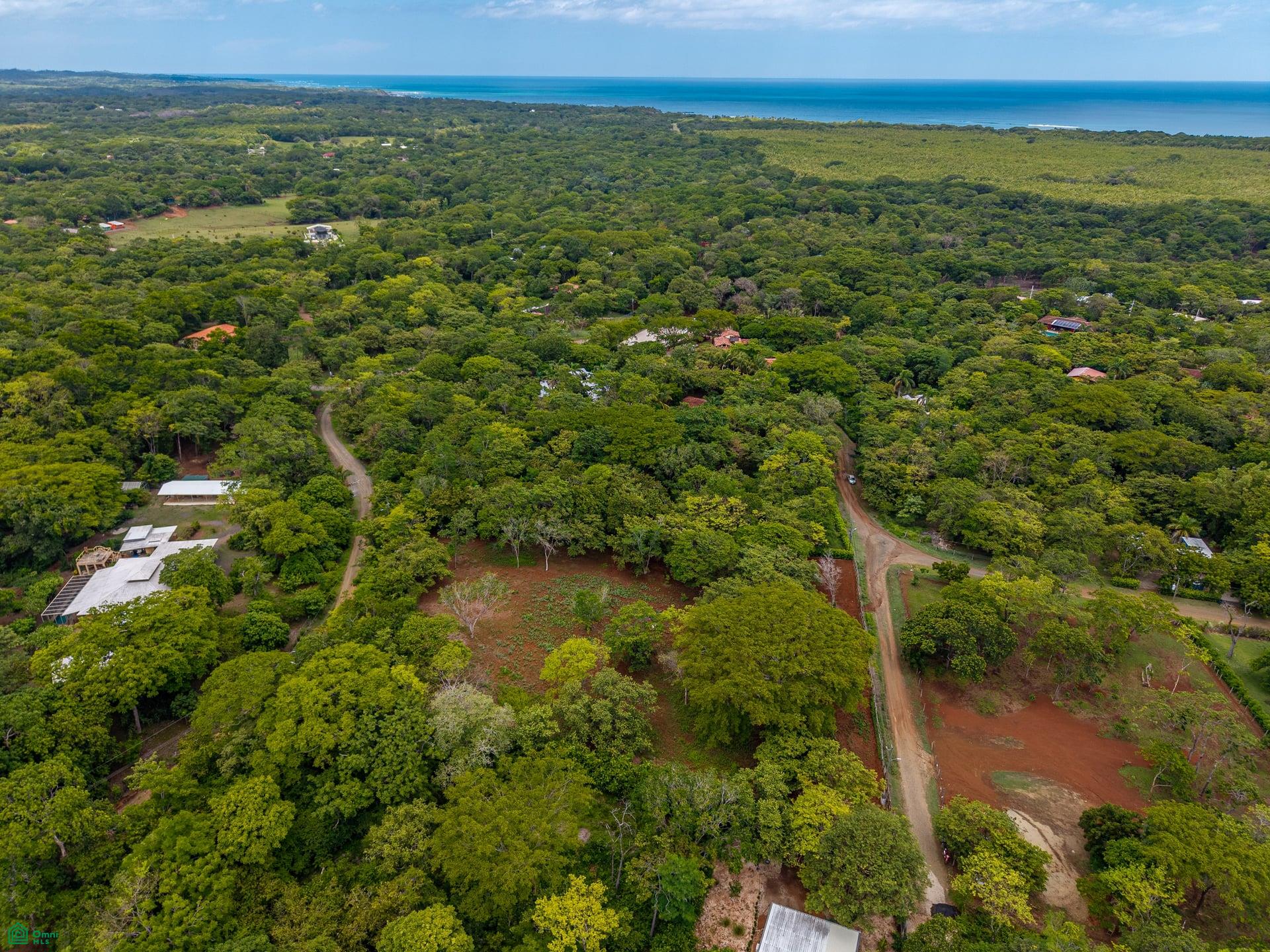 HAMMOCK PLANTACIÓN, Playa Negra