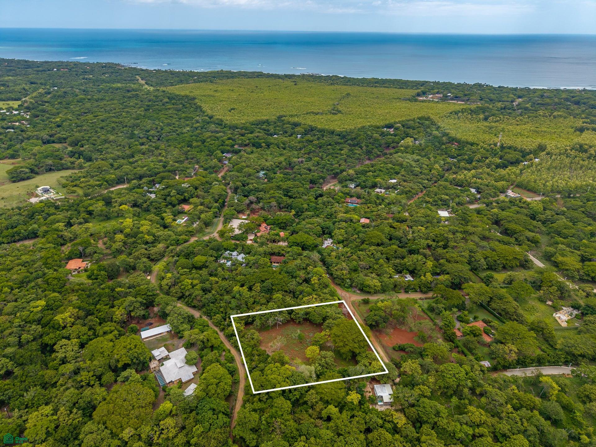HAMMOCK PLANTACIÓN, Playa Negra