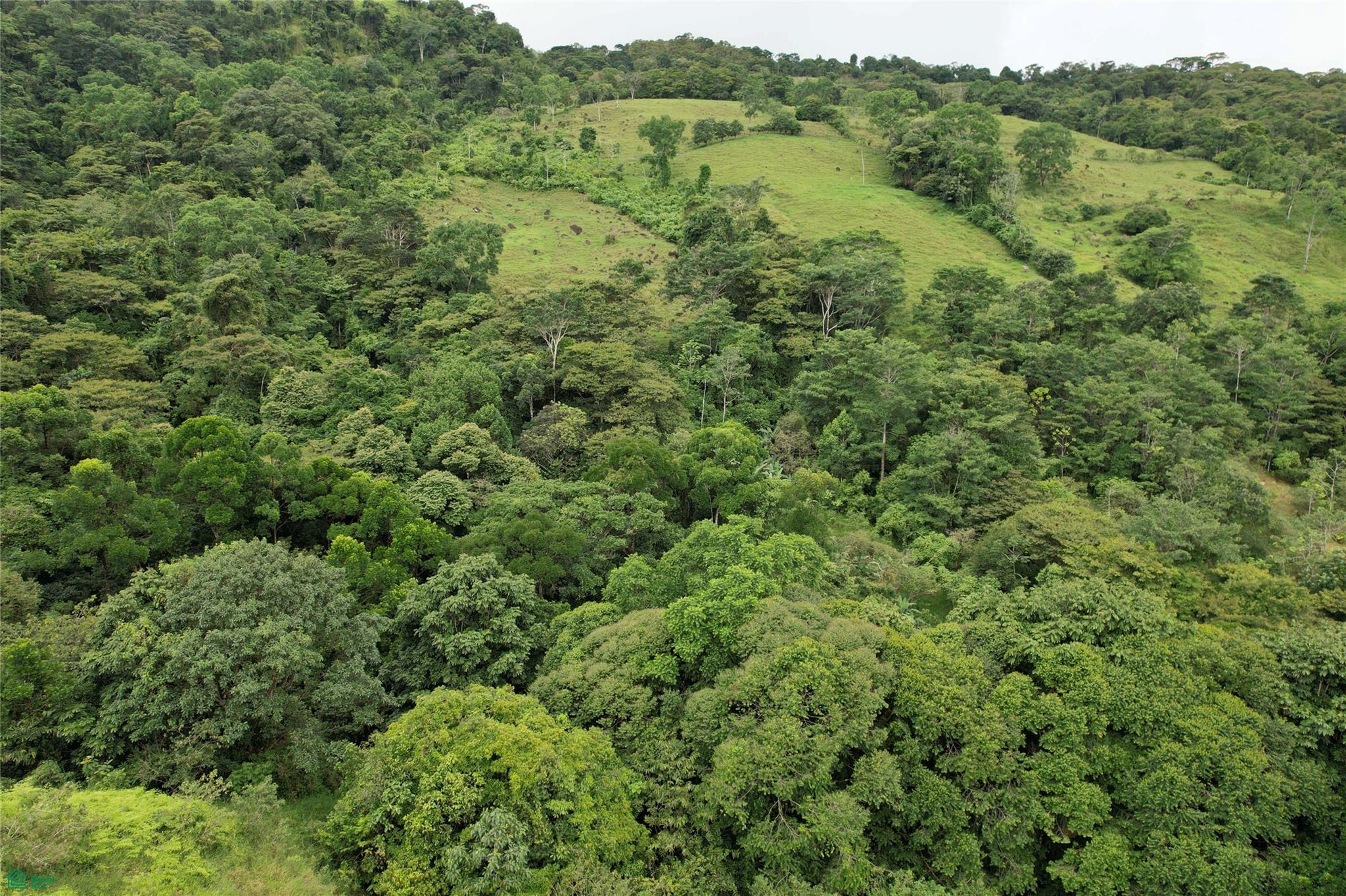 44-Hectare Diamante Valley Estate
