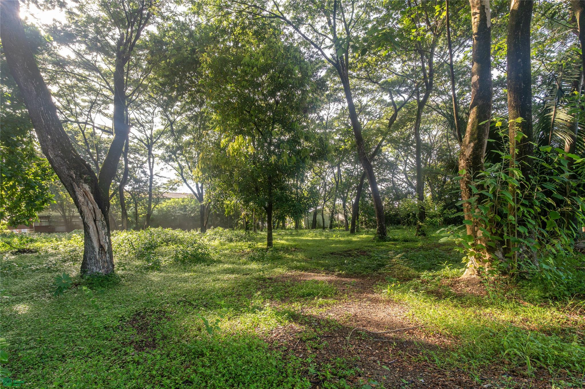 Central Samara 5,000m² Lot
