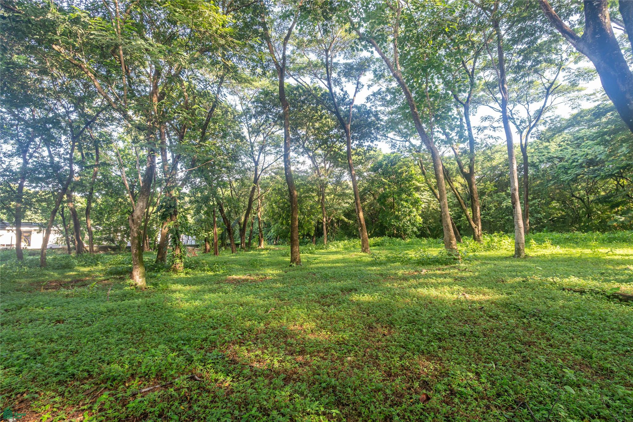 Central Samara 5,000m² Lot