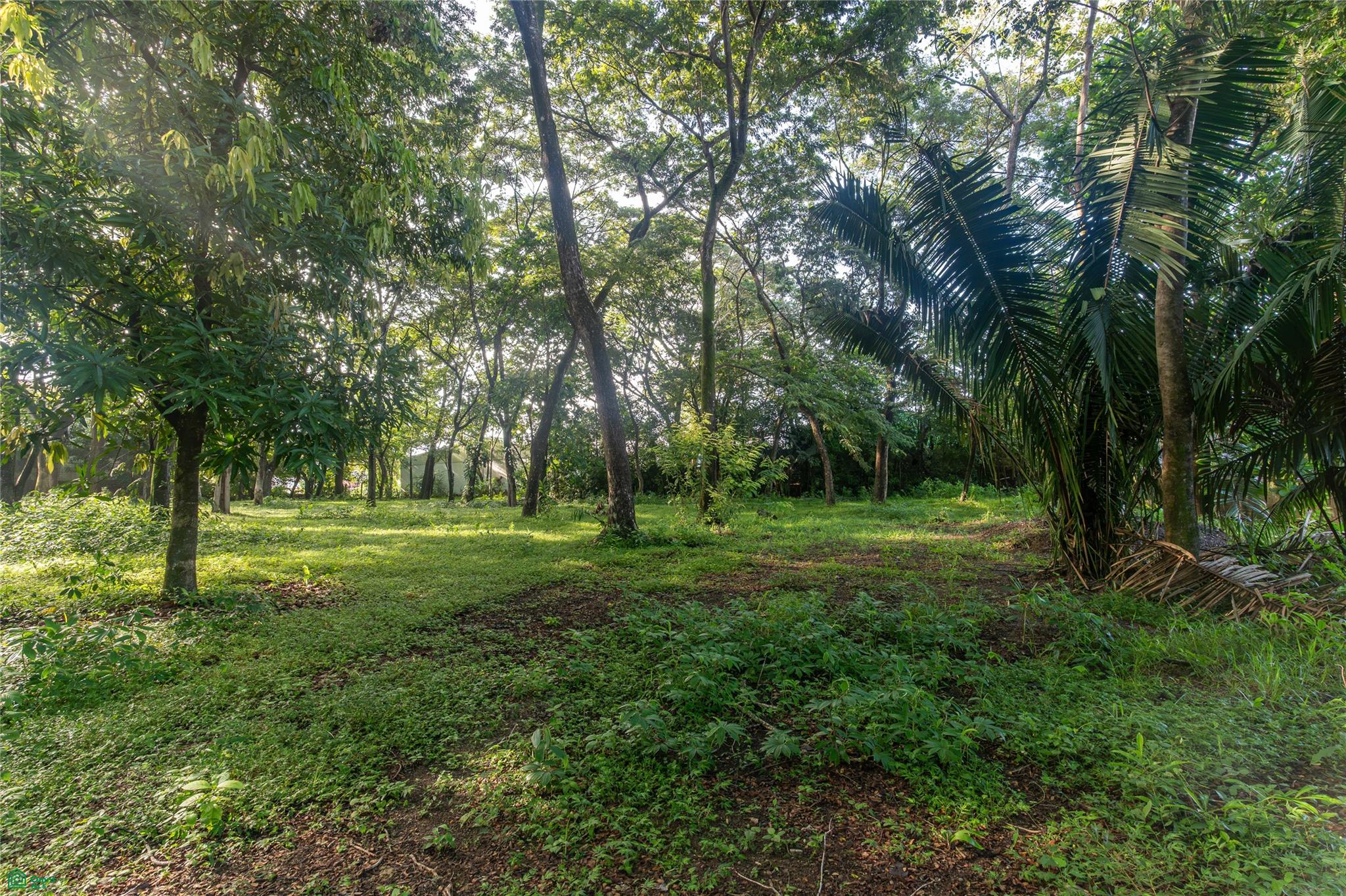 Central Samara 5,000m² Lot