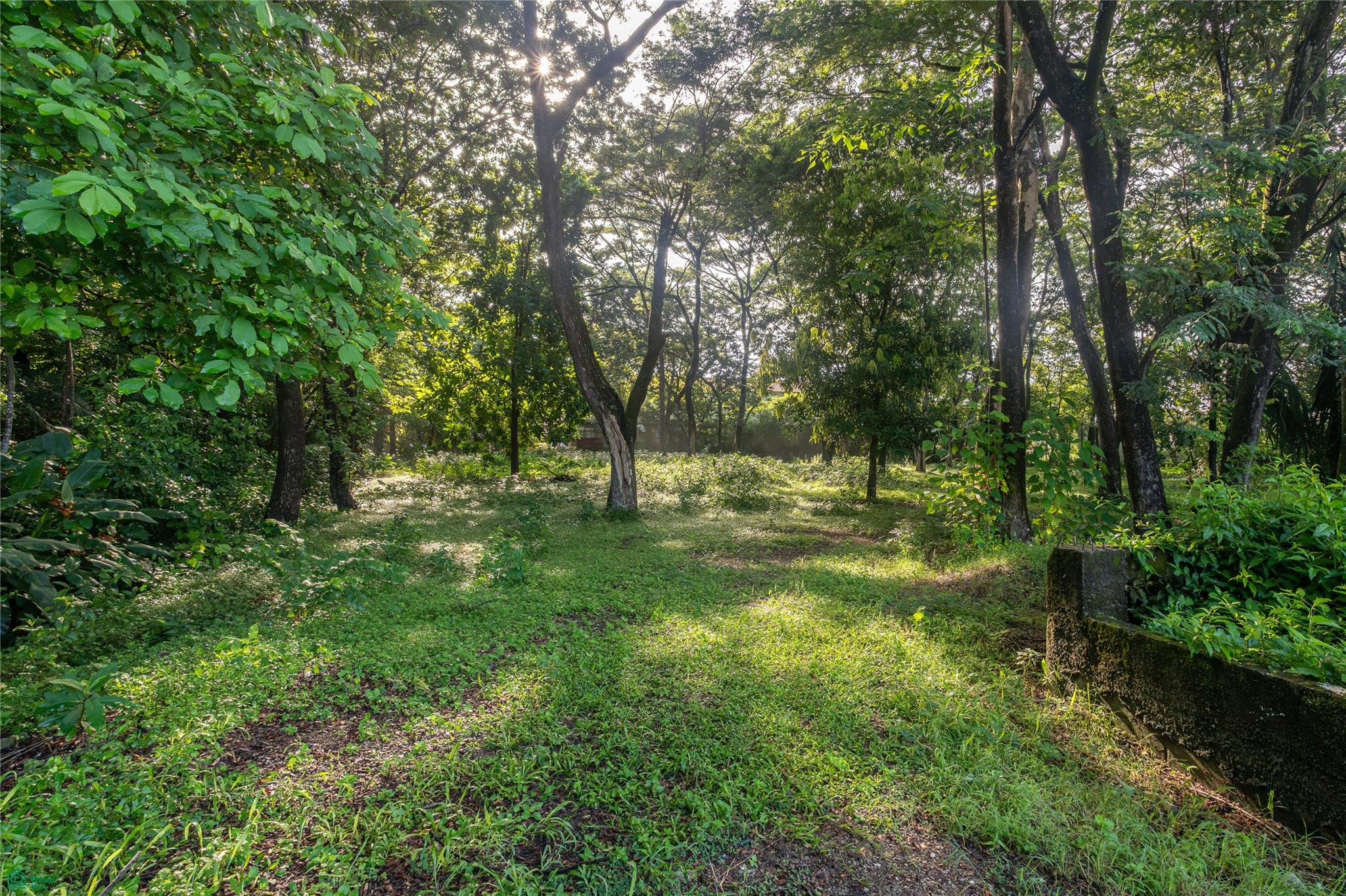 Central Samara 5,000m² Lot