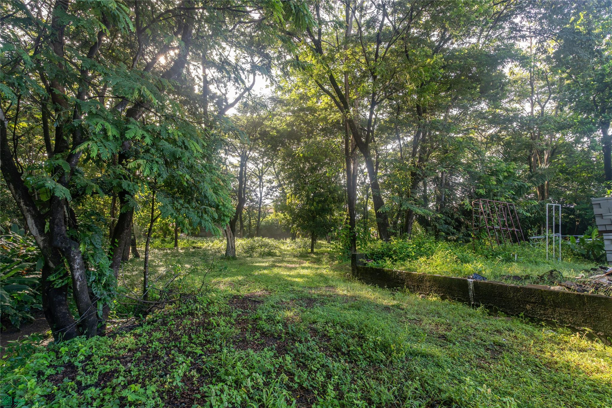 Central Samara 5,000m² Lot