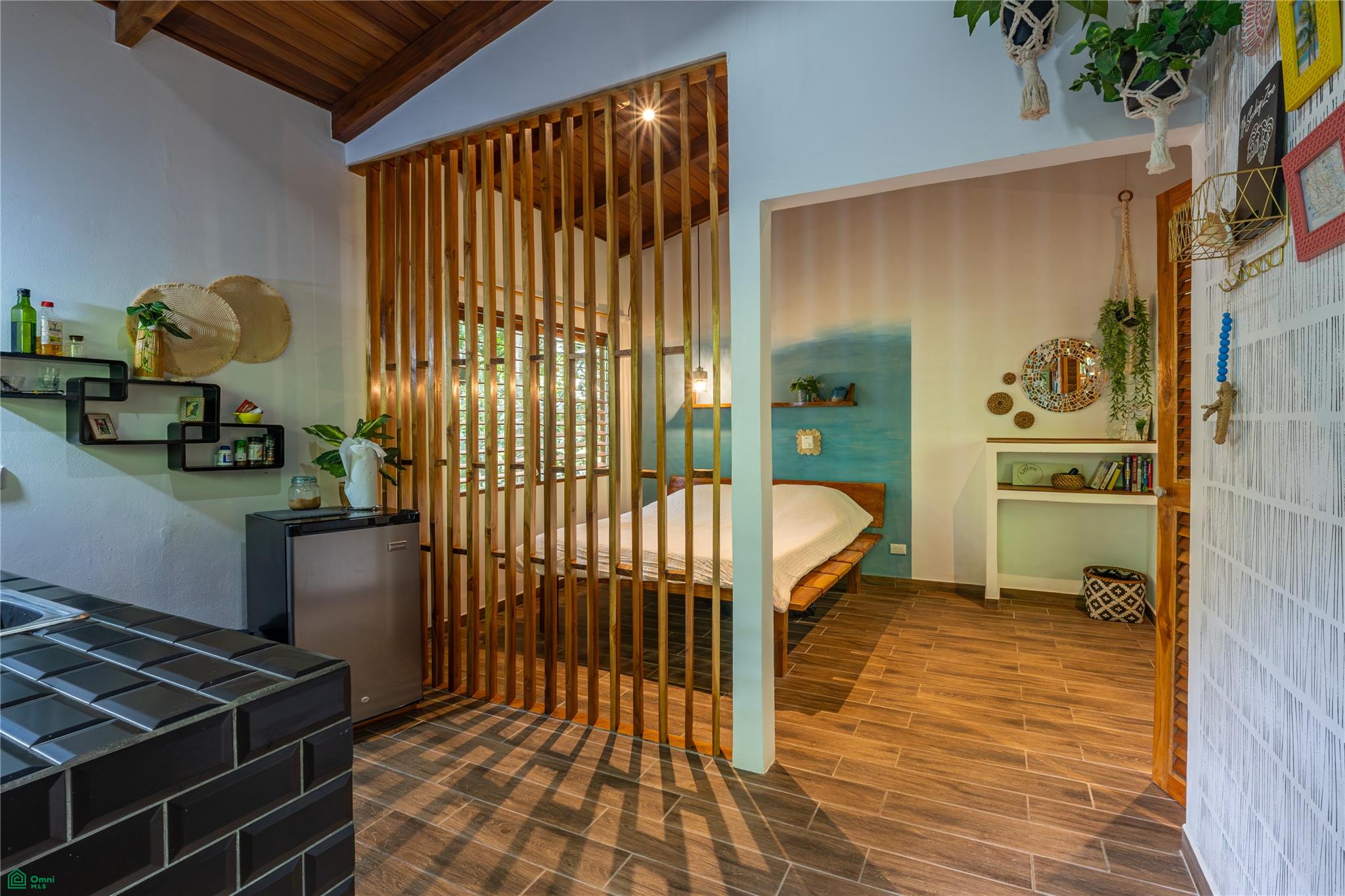 Barrigona Dreams