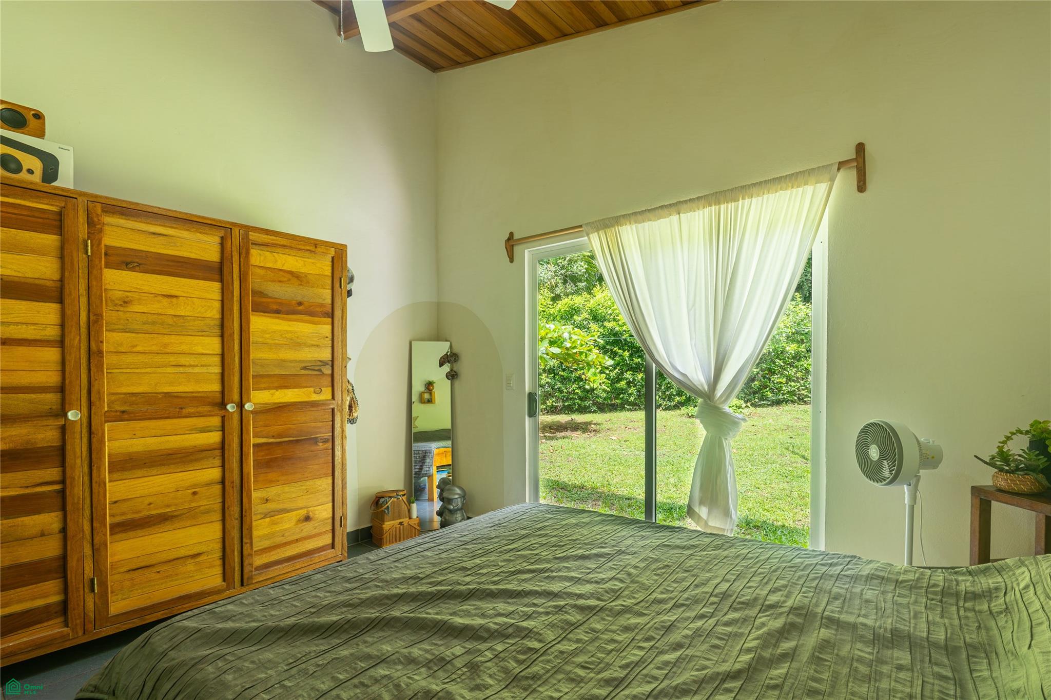 Barrigona Dreams