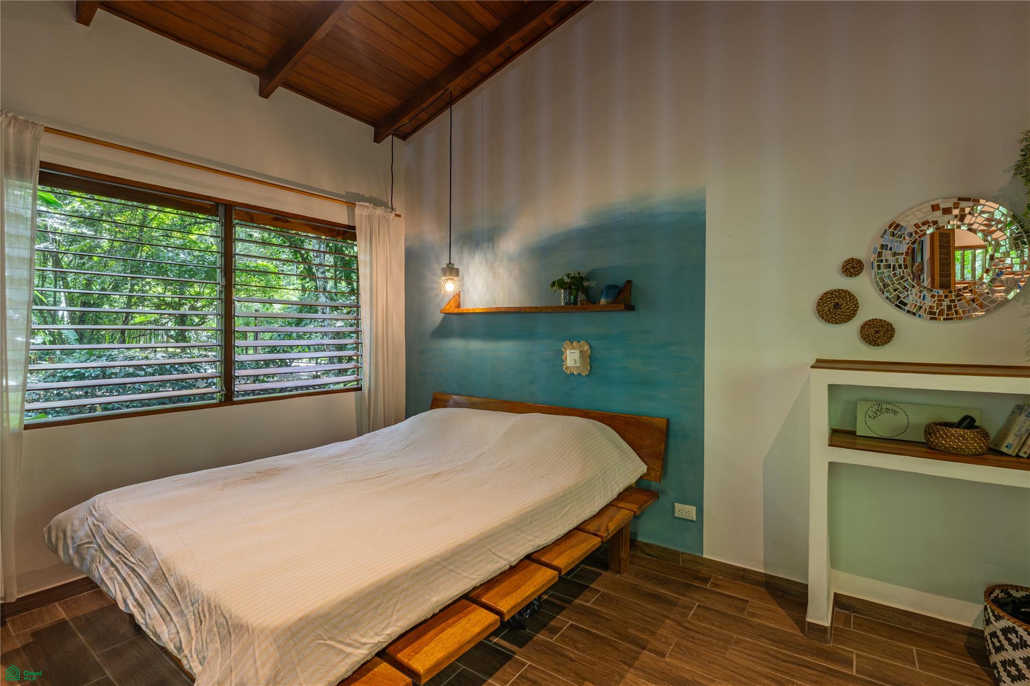 Barrigona Dreams