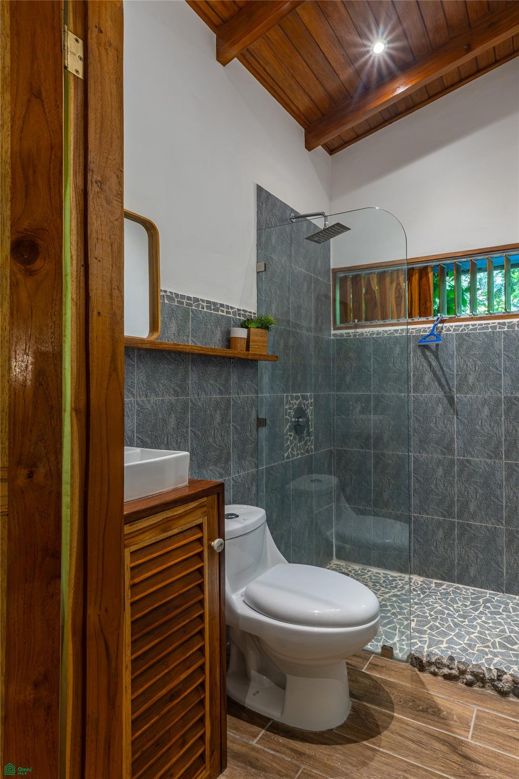 Barrigona Dreams