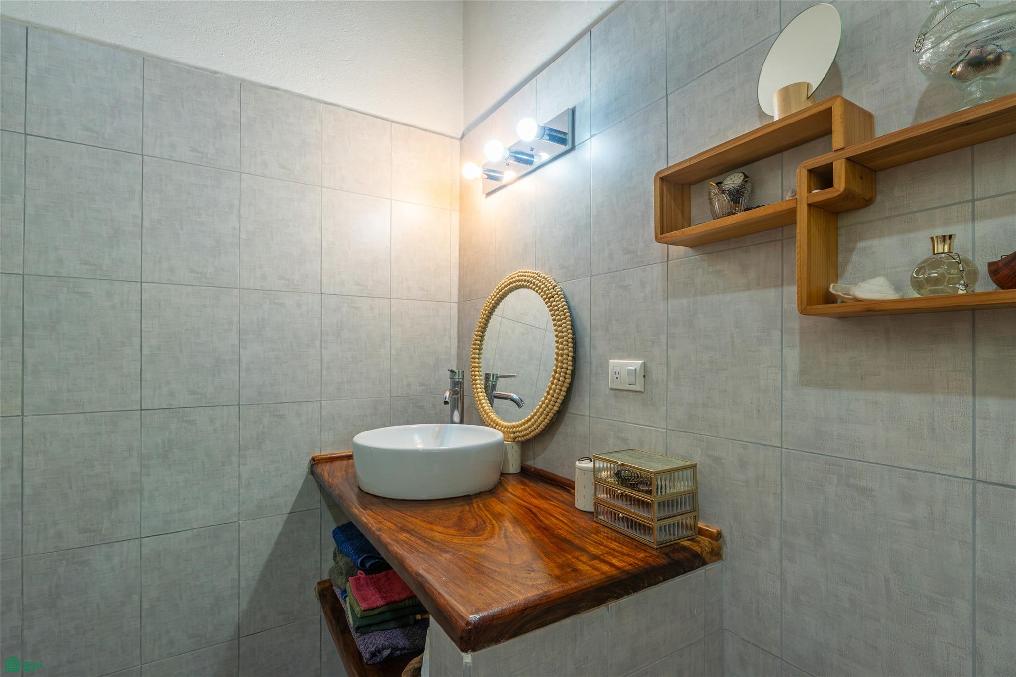 Barrigona Dreams