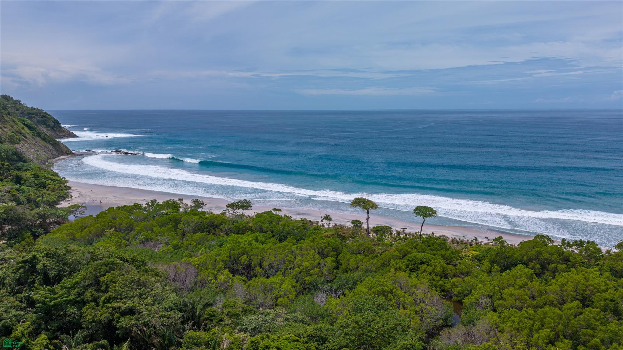Barrigona Dreams