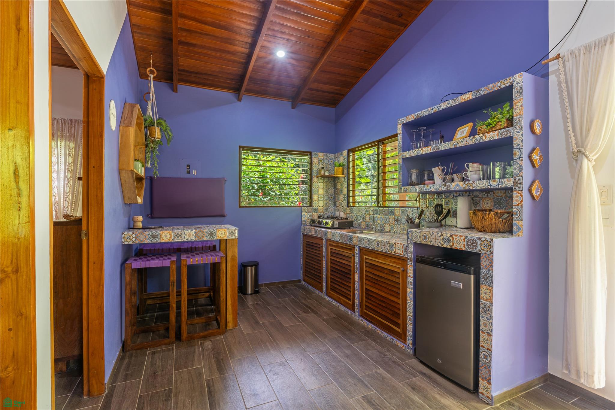 Barrigona Dreams