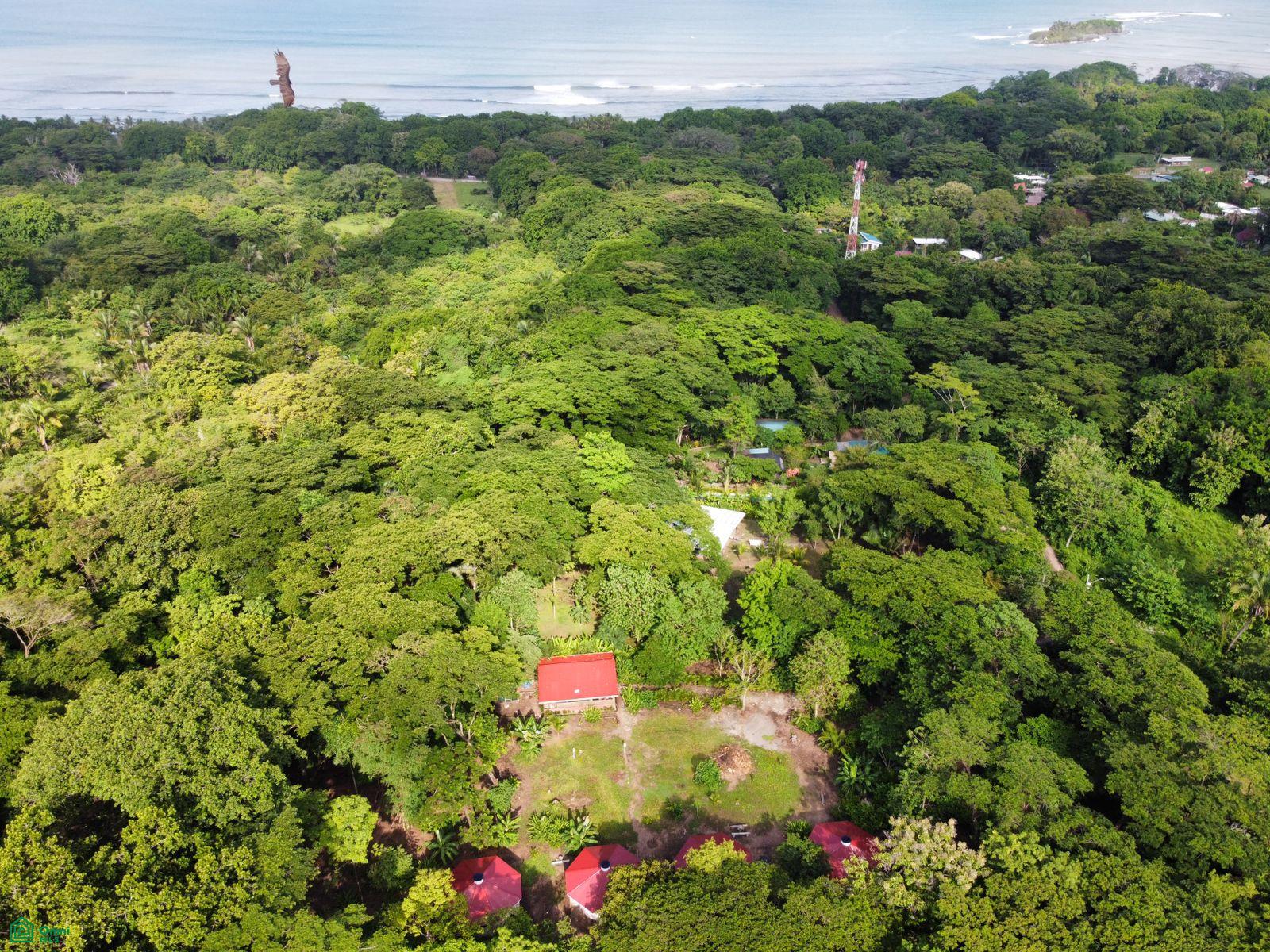La Selva Azul