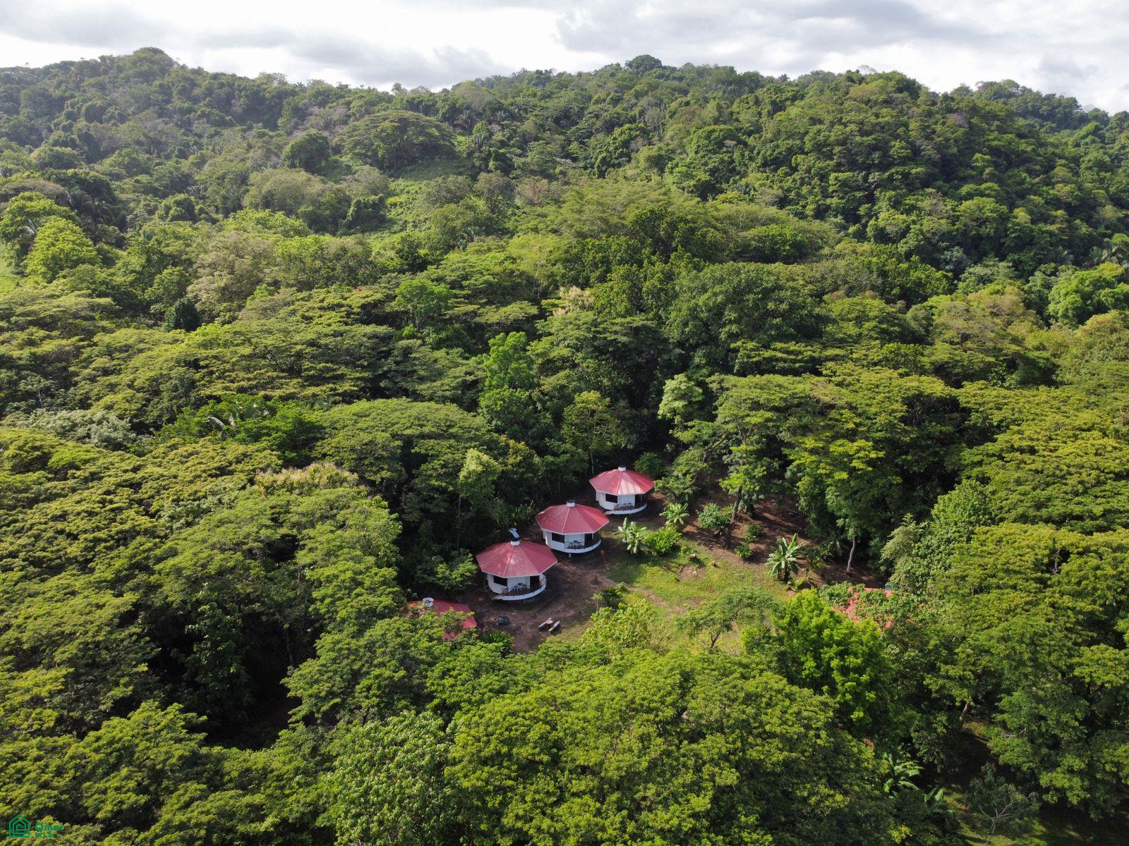 La Selva Azul