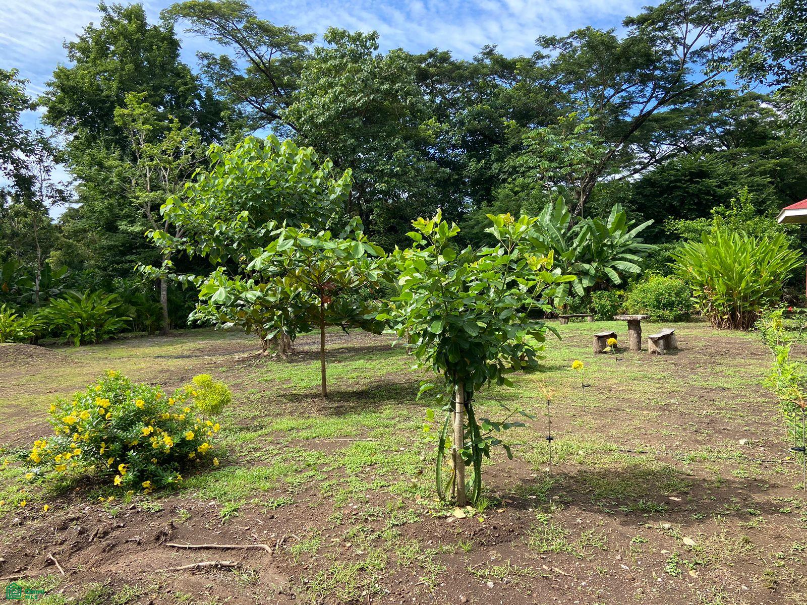 La Selva Azul