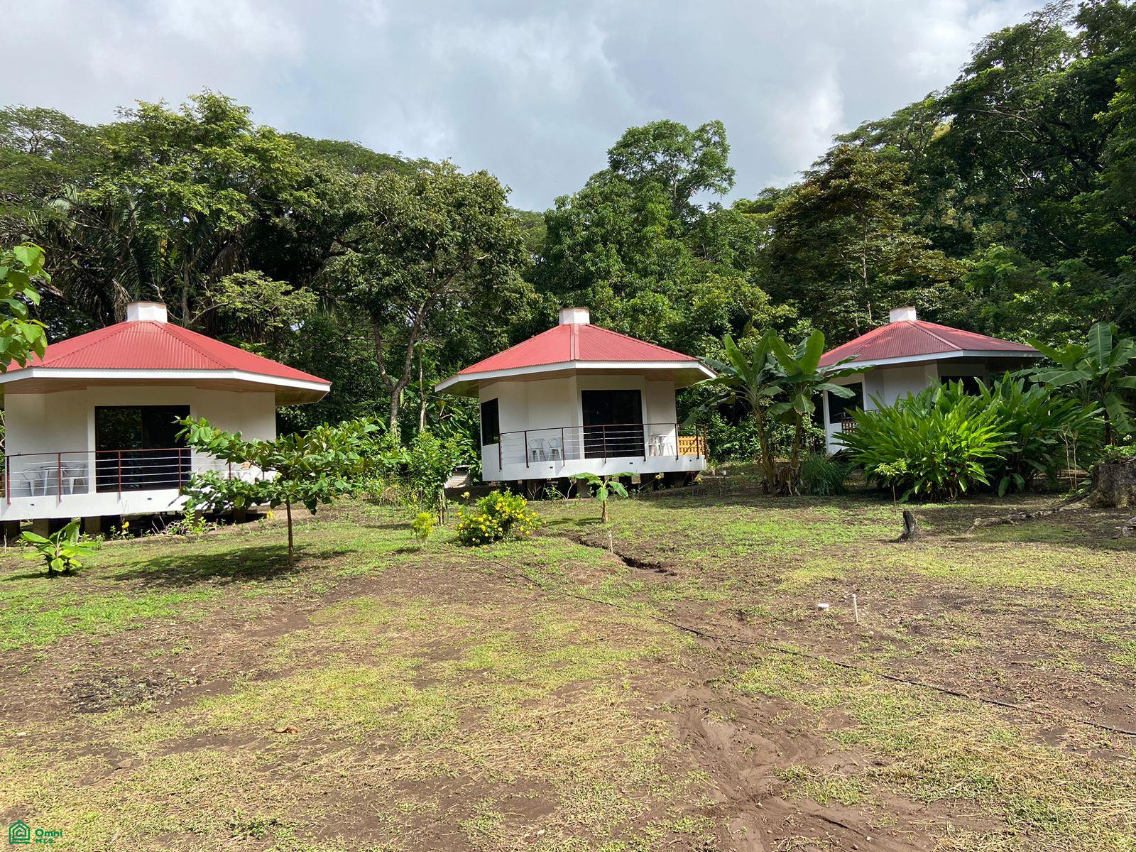 La Selva Azul