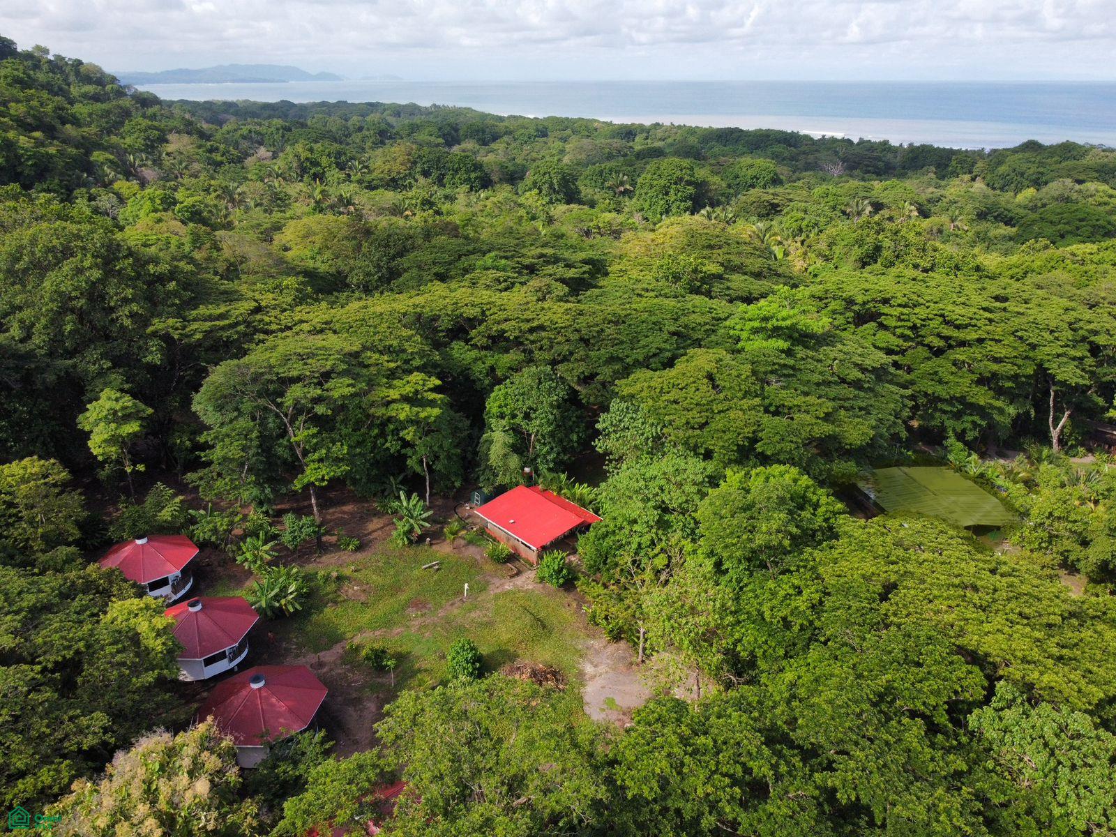 La Selva Azul