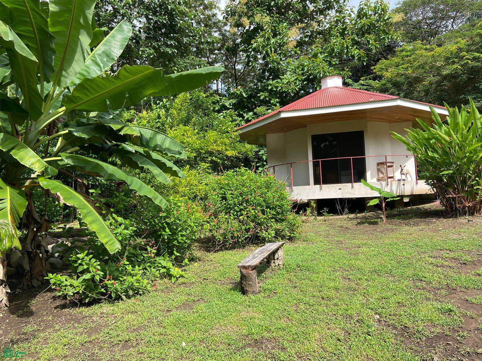 La Selva Azul