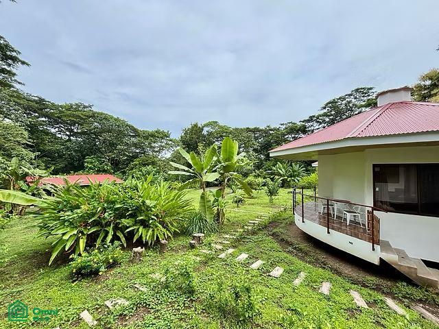 La Selva Azul