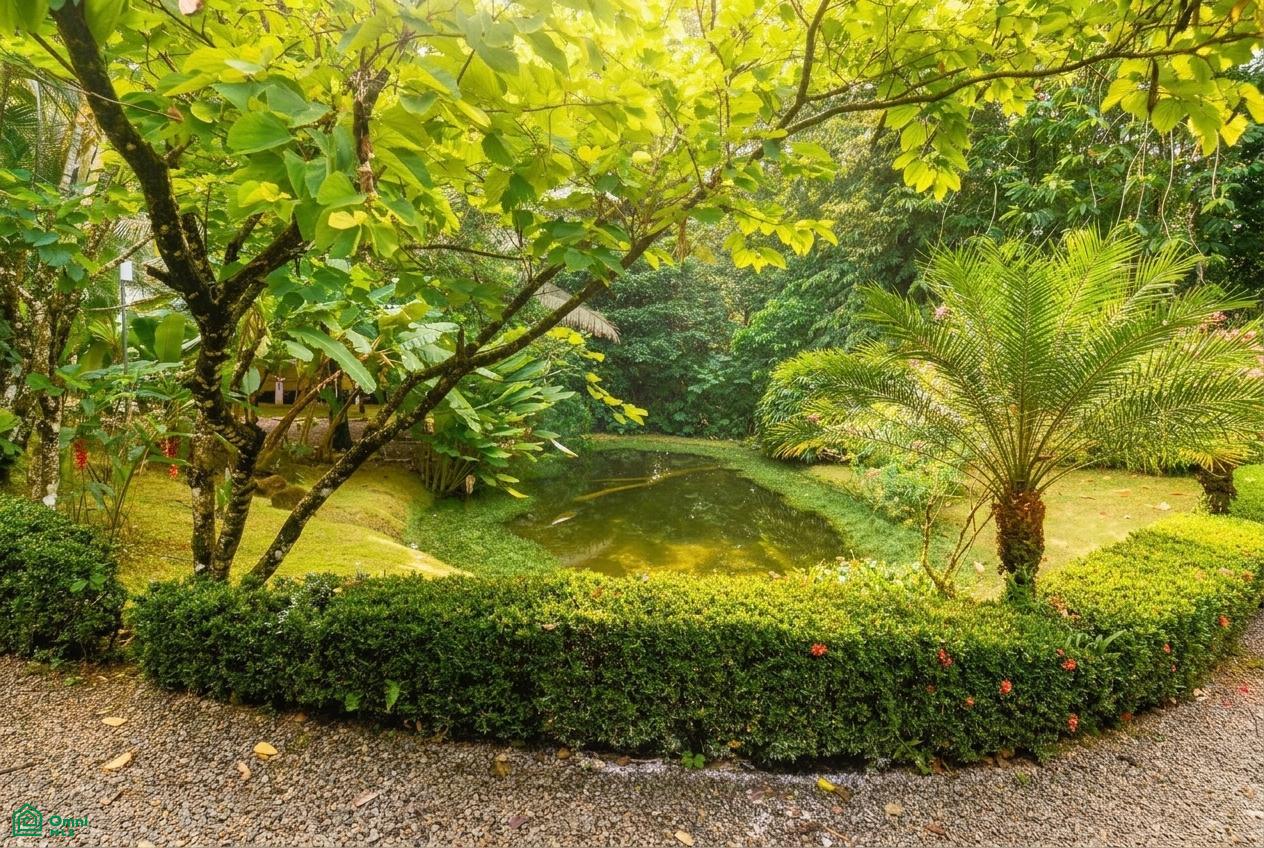 Jardines del Río