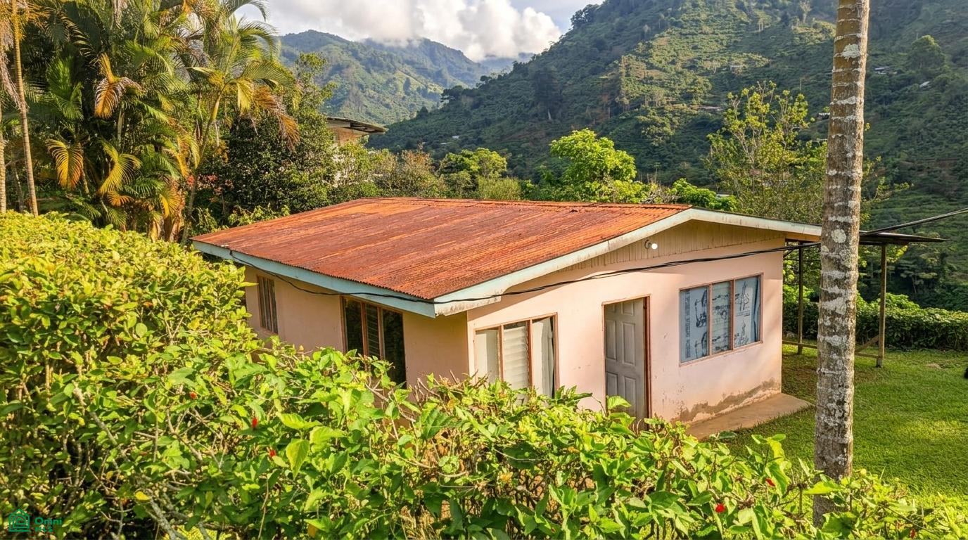 Casa Chirripó Cloud Retreat
