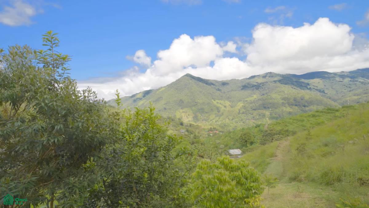 Whimsical Mountain Home , Rivas, Perez Zeledon, San Jose