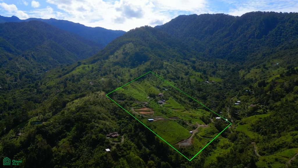 Whimsical Mountain Home , Rivas, Perez Zeledon, San Jose