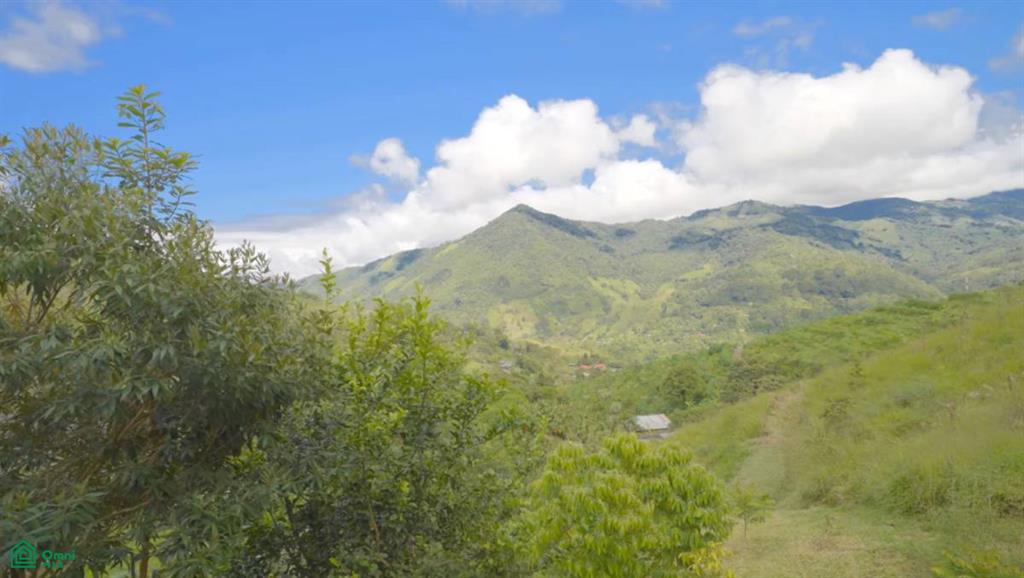 Whimsical Mountain Home , Rivas, Perez Zeledon, San Jose