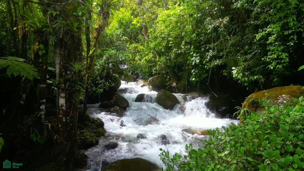 Whimsical Mountain Home , Rivas, Perez Zeledon, San Jose