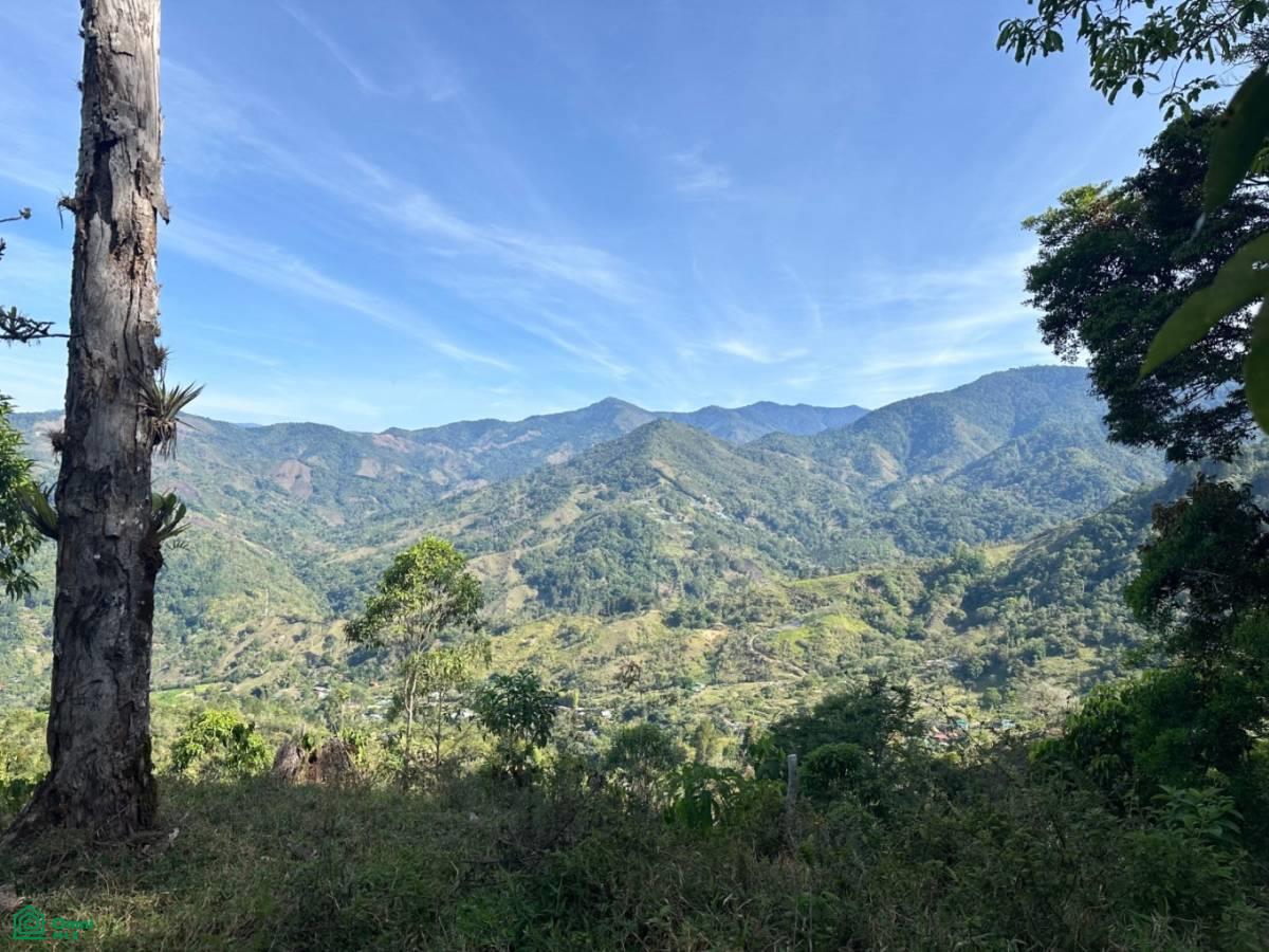 Escondido Lloroso , Rivas, Perez Zeledon, San Jose