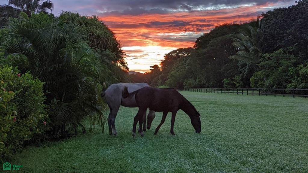 Playa Buena Vista Retreat Center , Sámara, Guanacaste