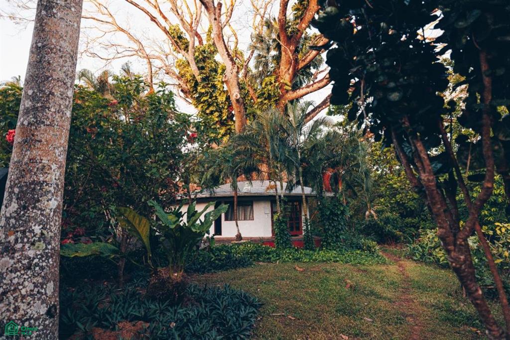 Playa Buena Vista Retreat Center , Sámara, Guanacaste