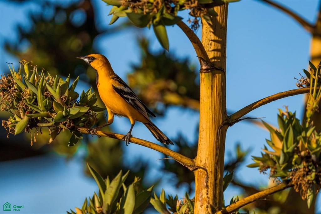 Casa Clara, Reserva Conchal , Cabo Velas, Guanacaste